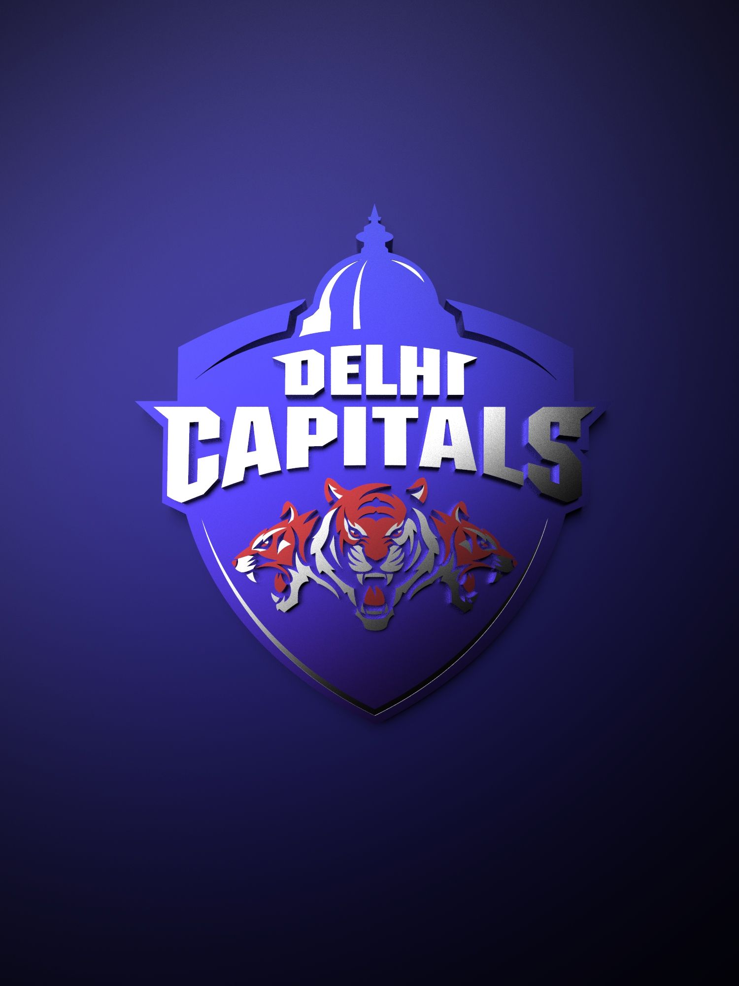 Delhi Capitals IPL metallic logo poster painting. Metallic logo, Ipl, Cricket wallpaper