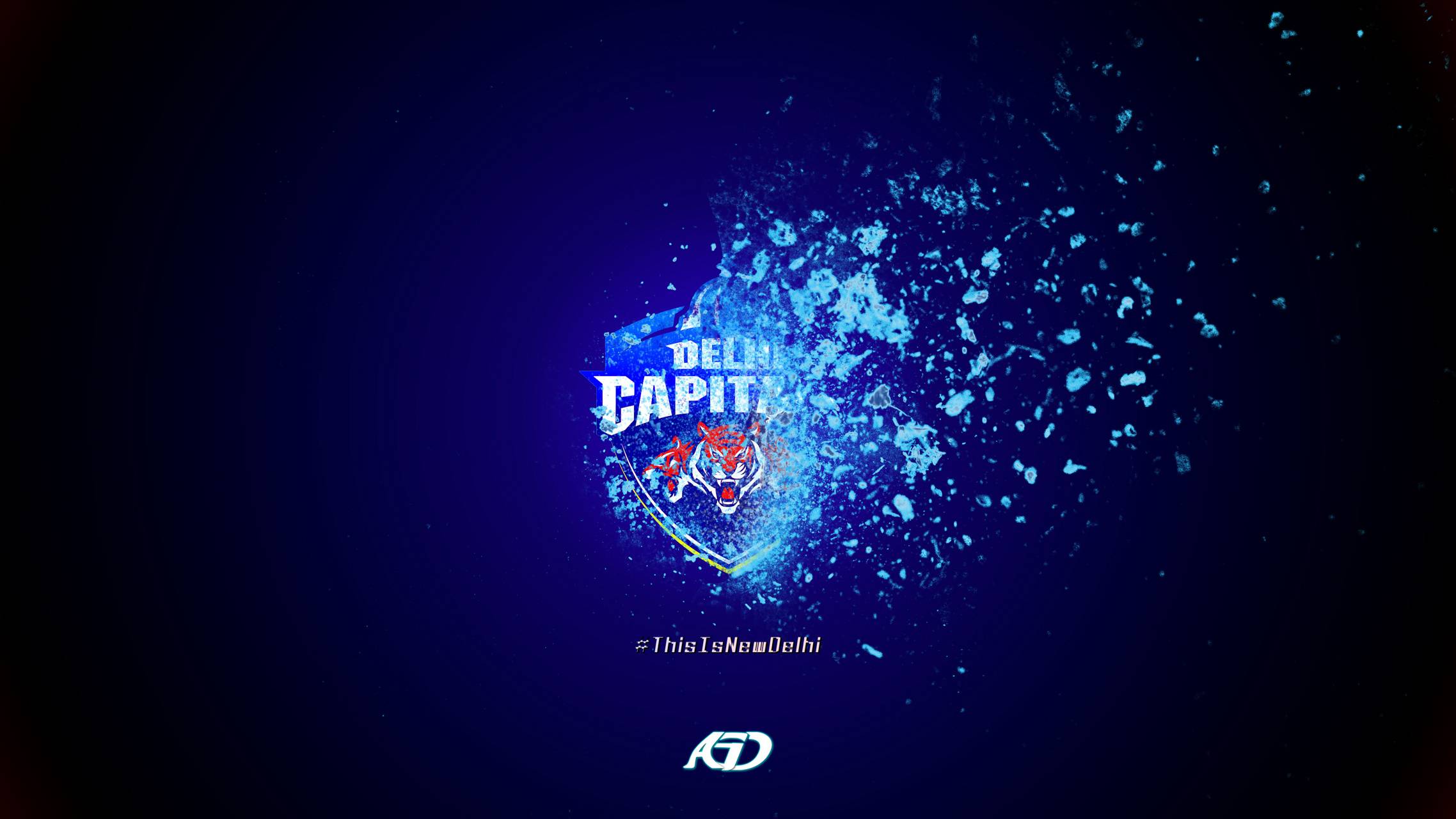 Delhi Capitals Squad For IPL 2022: DC Team & Players in IPL 15