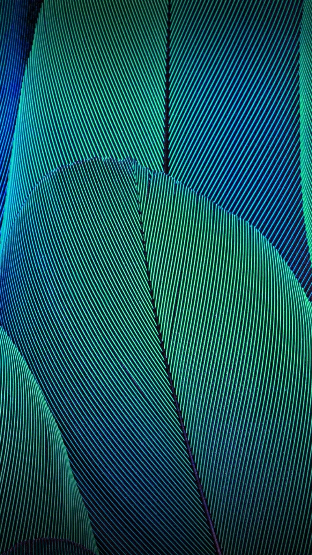 Wallpaper Leaves, Moto G5S Plus, Stock, HD, Abstract,. Wallpaper for iPhone, Android, Mobile and Desktop