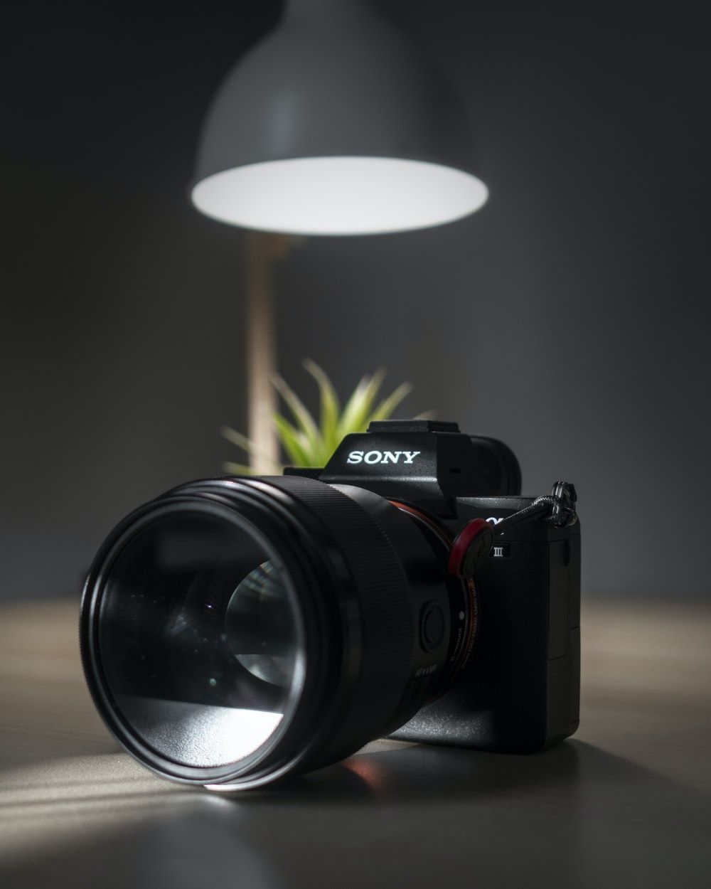 Sony Mirrorless Picture. Download Free Image