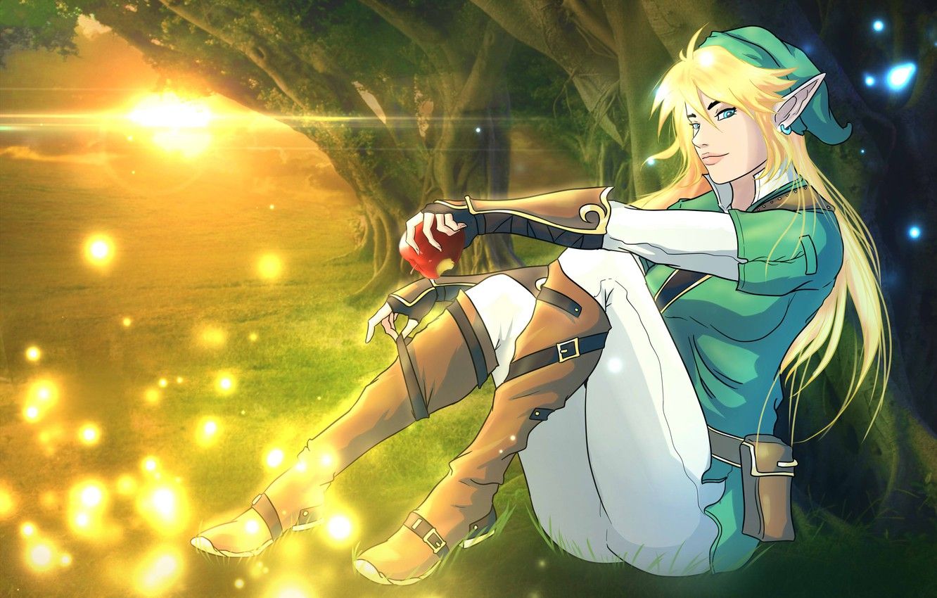 Wallpaper forest, girl, elf, fan art, Link, Legend of Zelda image for desktop, section игры