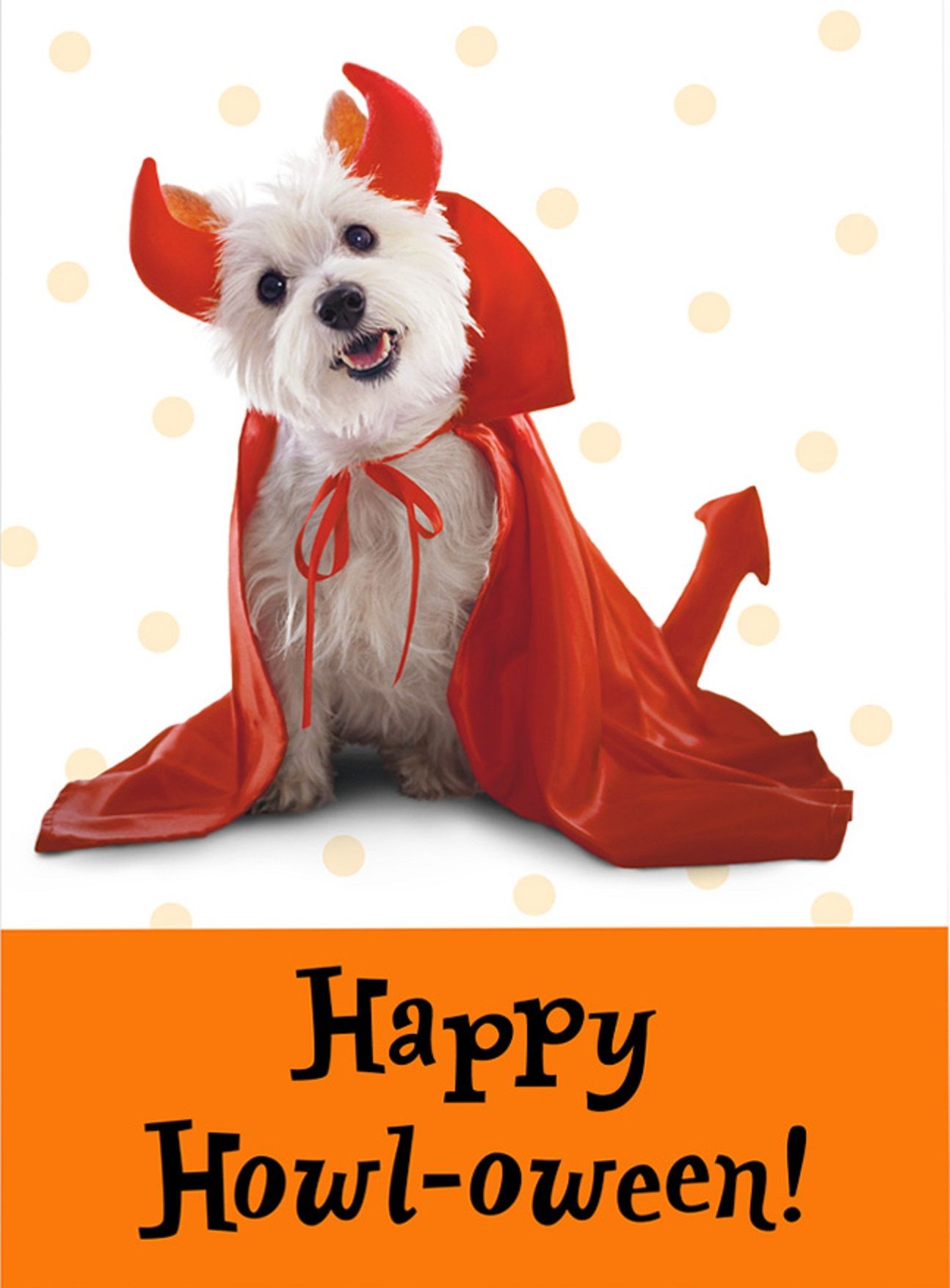 Free download Halloween Dogs Wallpaper Halloween dog wallpaper [1294x1754] for your Desktop, Mobile & Tablet. Explore Halloween Pets Wallpaper. Halloween Wallpaper Free, Halloween Wallpaper For Desktop, Free Halloween Wallpaper For Desktop