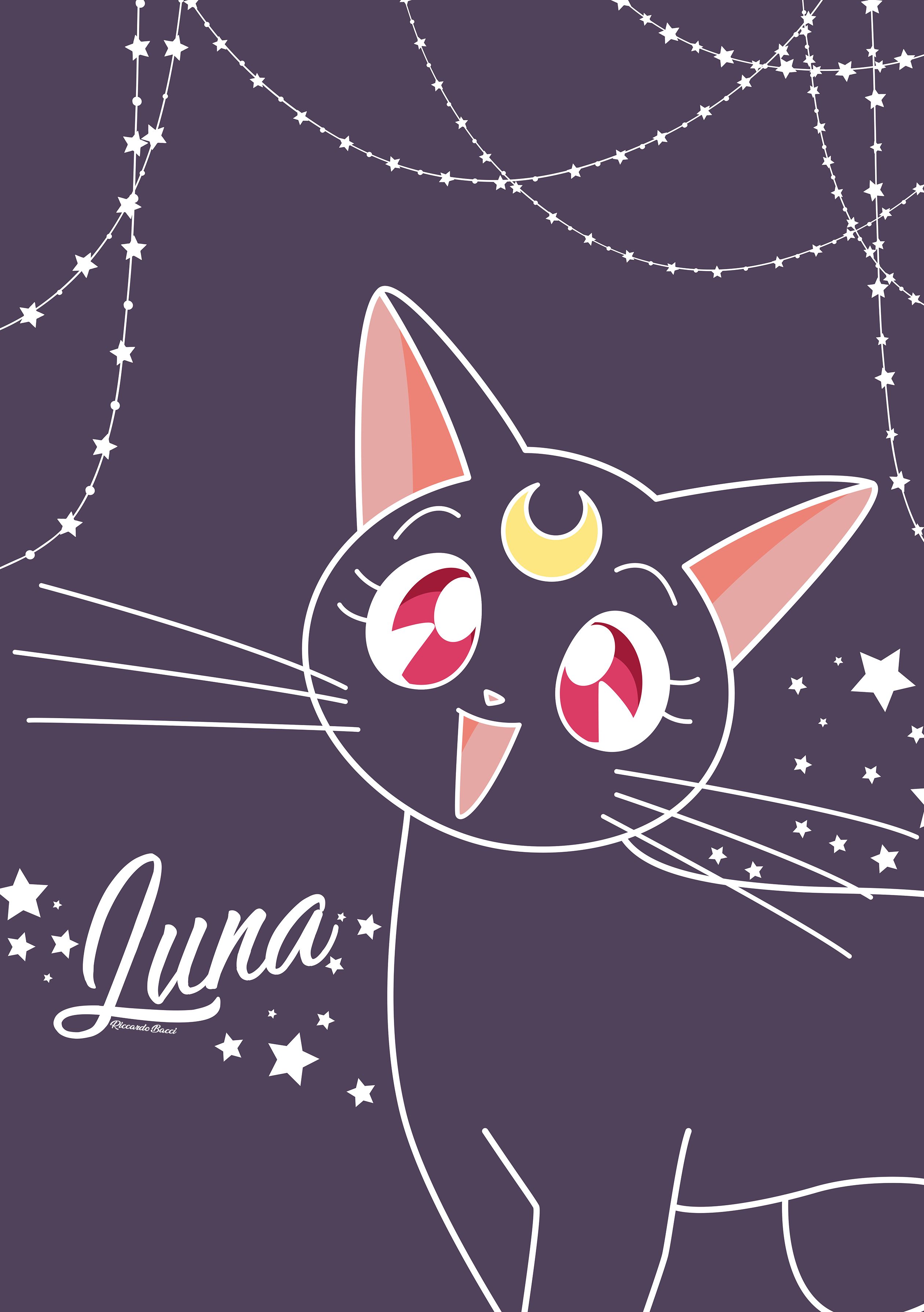 Luna (Sailor Moon) Senshi Sailor Moon Anime Image Board