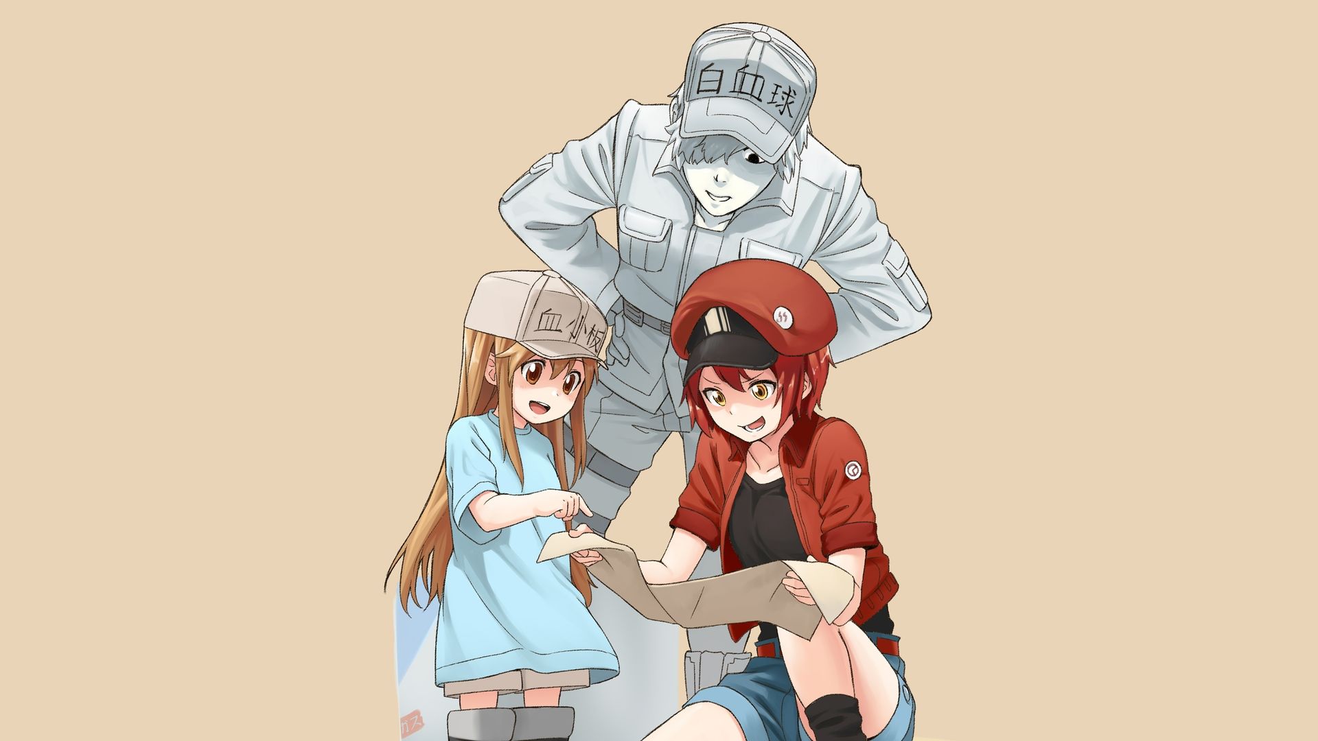 Cells at Work White Blood Cell Anime HD 4K Wallpaper #5.3021