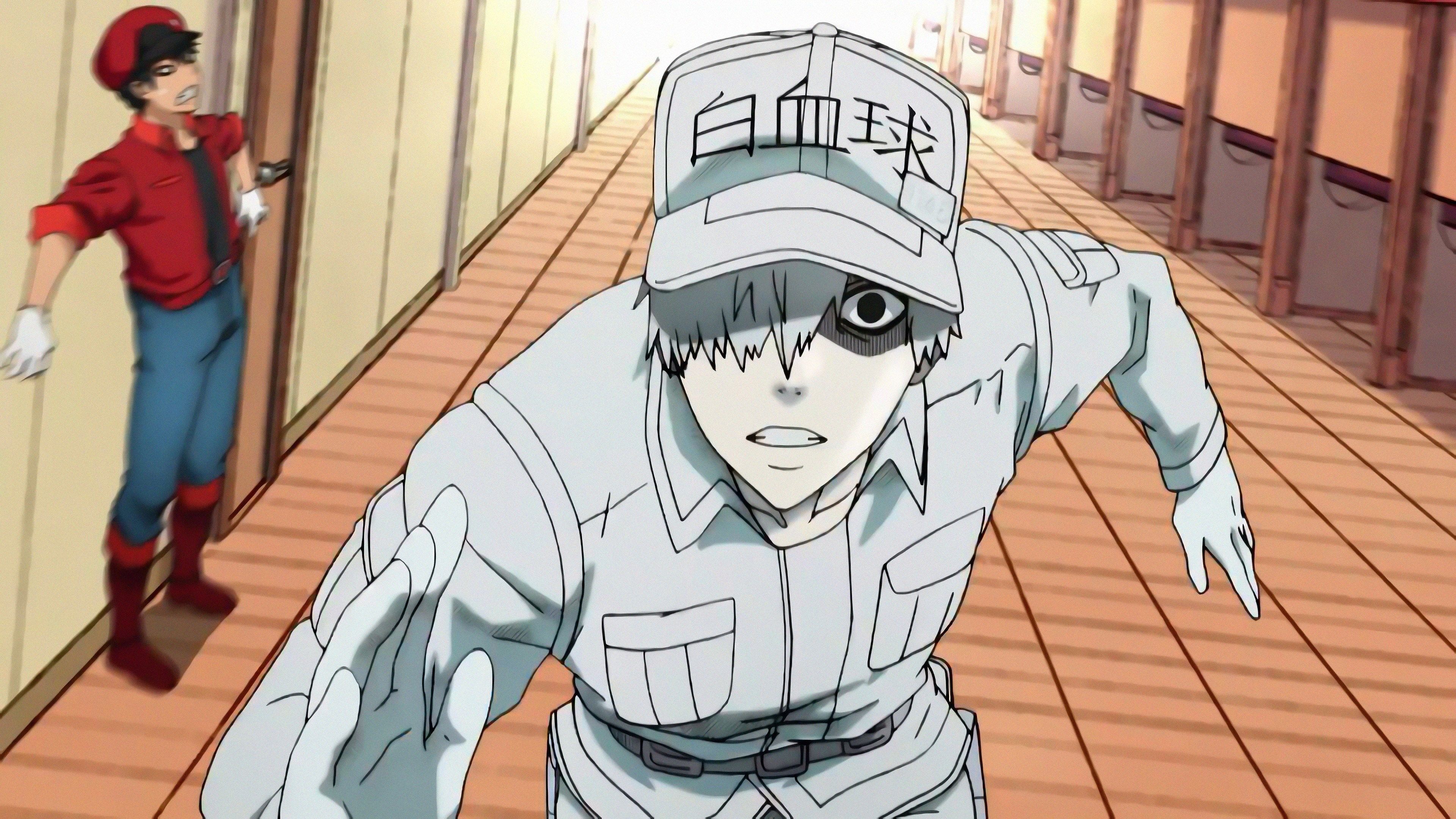 Download Cells At Work Anime White Blood Cell Wallpaper