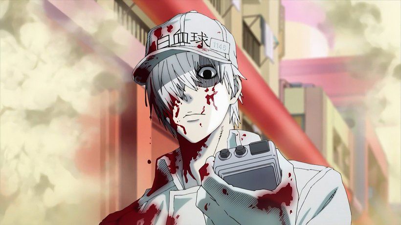 White Blood Cell Cells at Work! Hataraku Saibou 4K