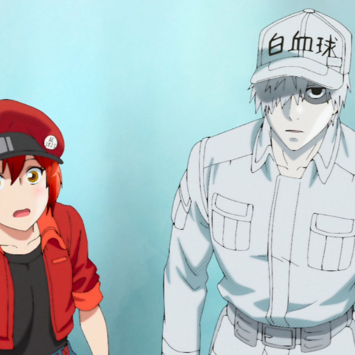 Cells at Work White Blood Cell HD 4K Wallpaper #5.3005