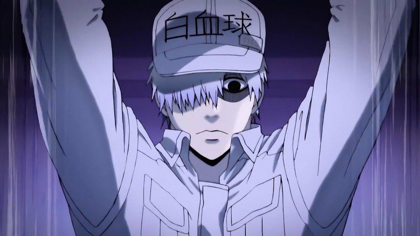 White Blood Cell Cells at Work! Hataraku Saibou 4K