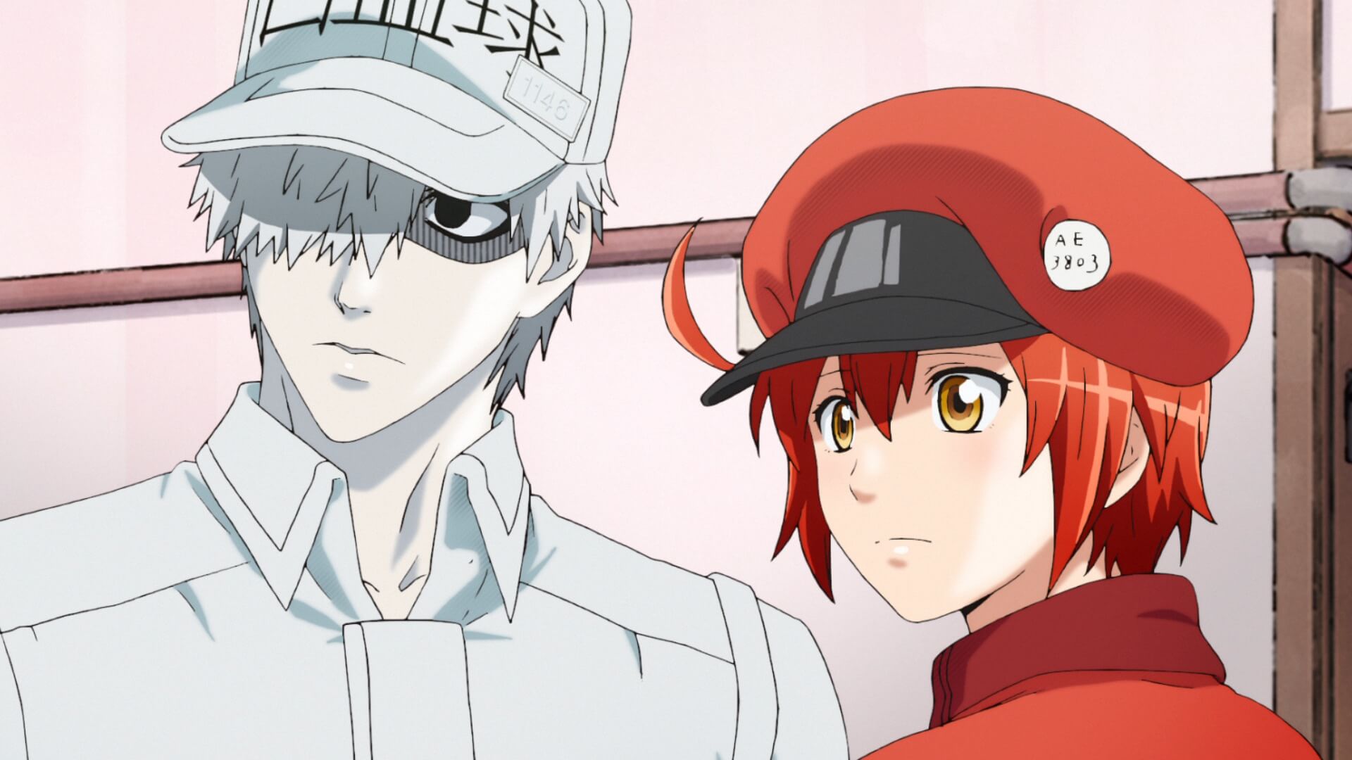 Cells at Work White Blood Cell HD 4K Wallpaper #5.3005