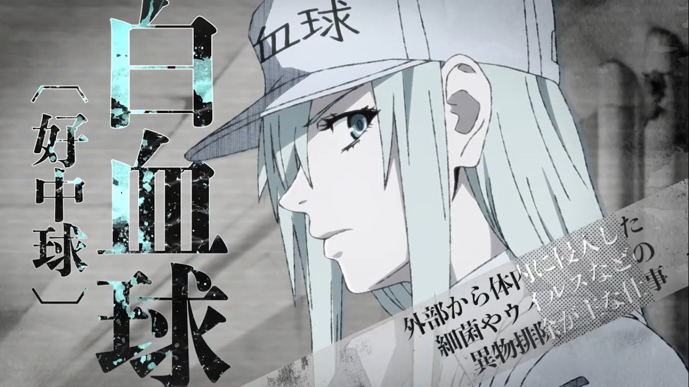 Animated Promo Video Released for “Cells at Work! Black” Manga