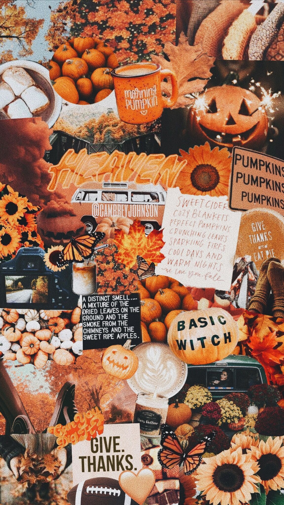fall #autumn #collage. iPhone wallpaper fall, Fall wallpaper, Halloween wallpaper