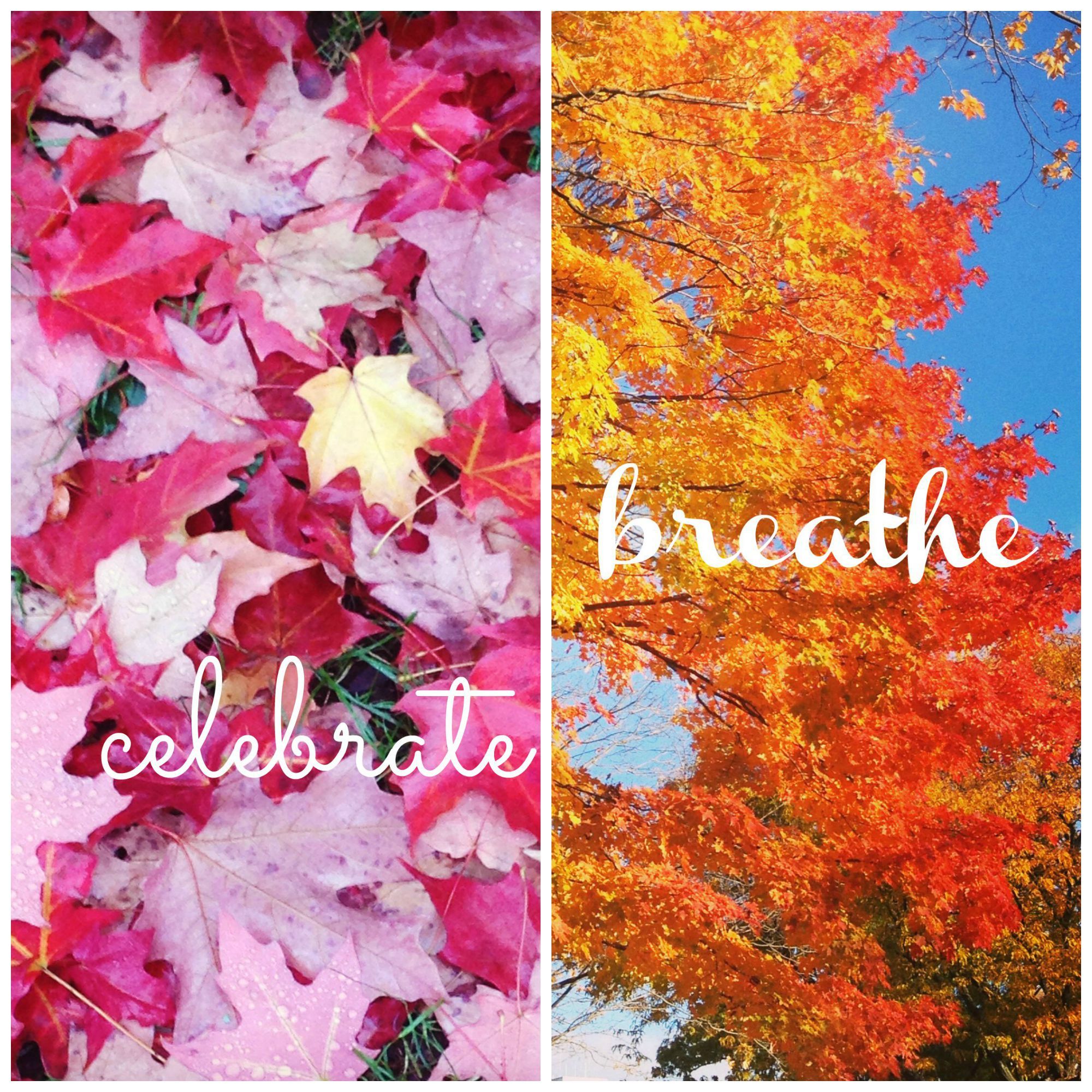 Ways to Celebrate Autumn No Matter Where You Live