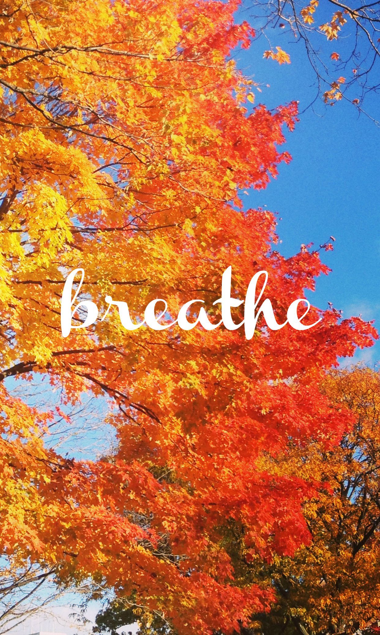 Ways to Celebrate Autumn No Matter Where You Live