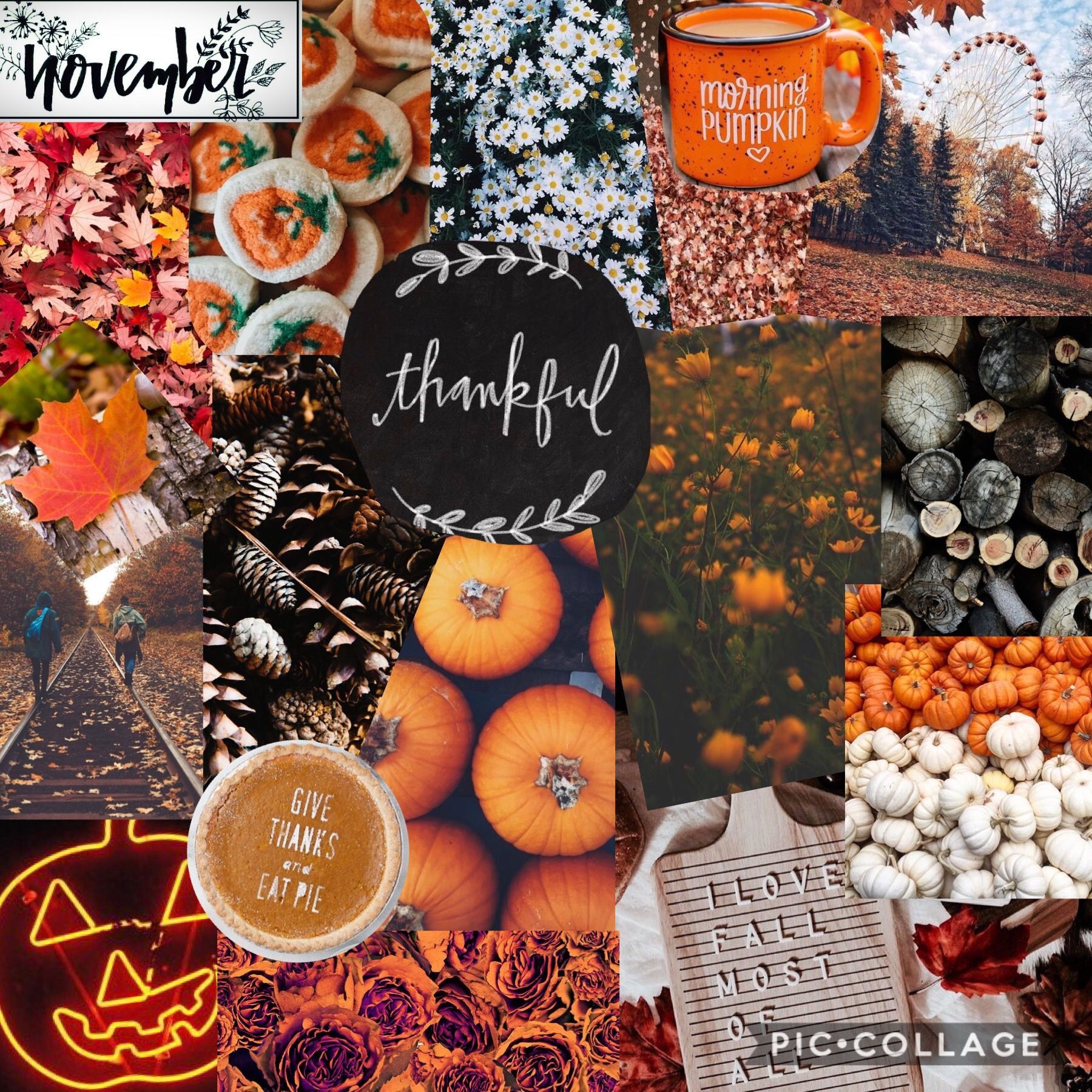 Aesthetic Fall Collage Wallpapers Wallpaper Cave