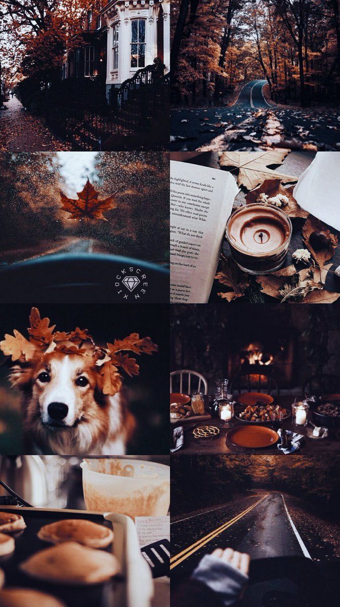 mood board inspo // aesthetic. Dog wallpaper iphone, Fall wallpaper, Autumn aesthetic
