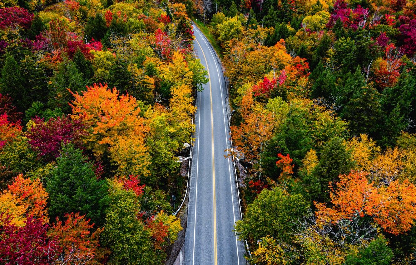 Wallpaper road, autumn, forest, trees, Vermont, Vermont, Smugglers Notch image for desktop, section природа