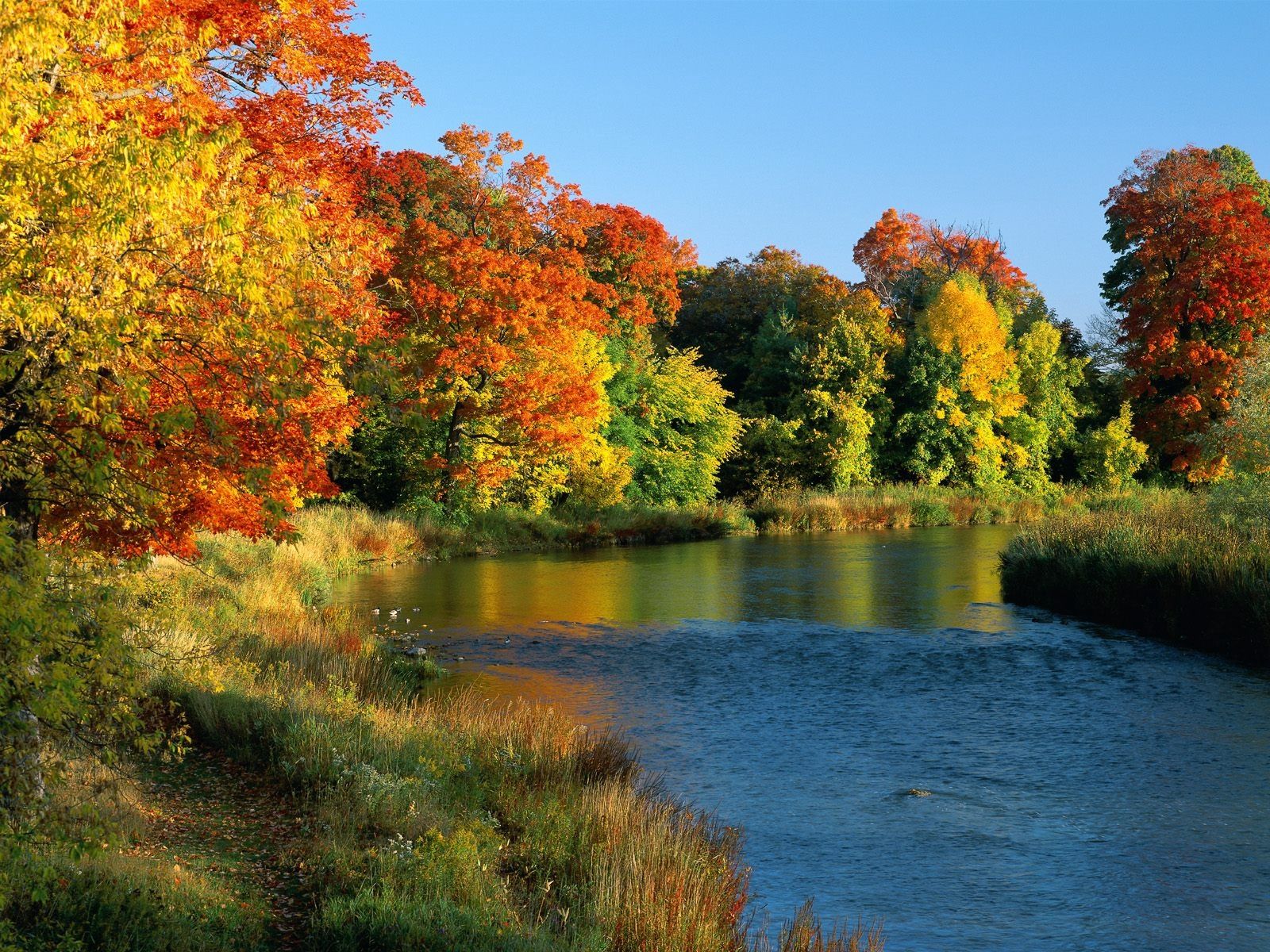 Wallpaper Ontario, Canada, Trees, River, Coast, Autumn