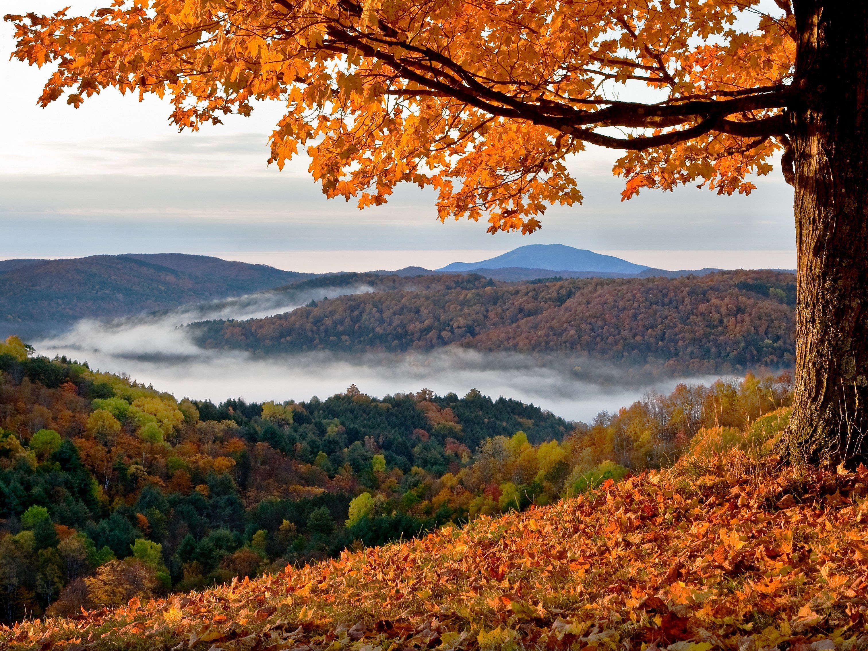 See Vermont Fall Foliage in These 15 Beautiful Places. New england fall foliage, Fall getaways, New england foliage