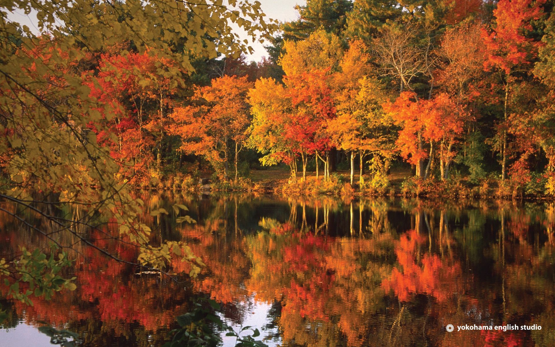 fall background. Autumn, wallpaper, desktops, picts, large. Fall foliage, Autumn lake, Beautiful landscapes