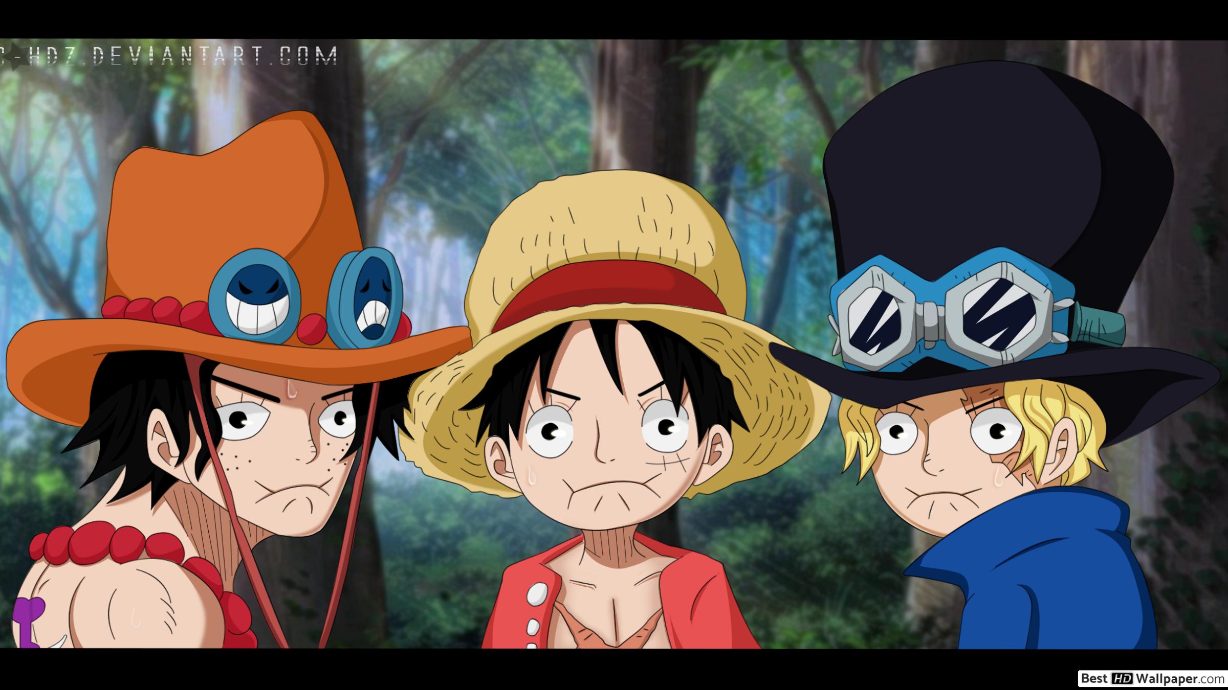 One Piece, Sabo and Luffy, Brothers HD wallpaper download