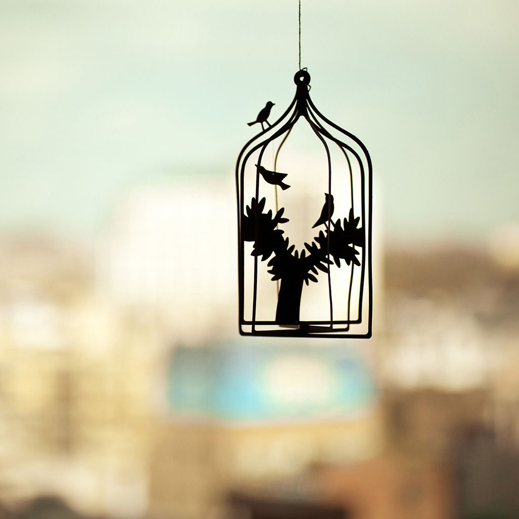 Caged Bird Wallpaper. Beautiful Hummingbird Wallpaper, Steampunk Hummingbird Wallpaper and Steampunk Bird Wallpaper
