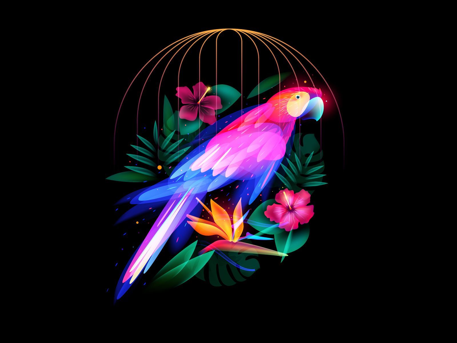 Fantasy Parrot. Illustration design, Graphic wallpaper, Illustration