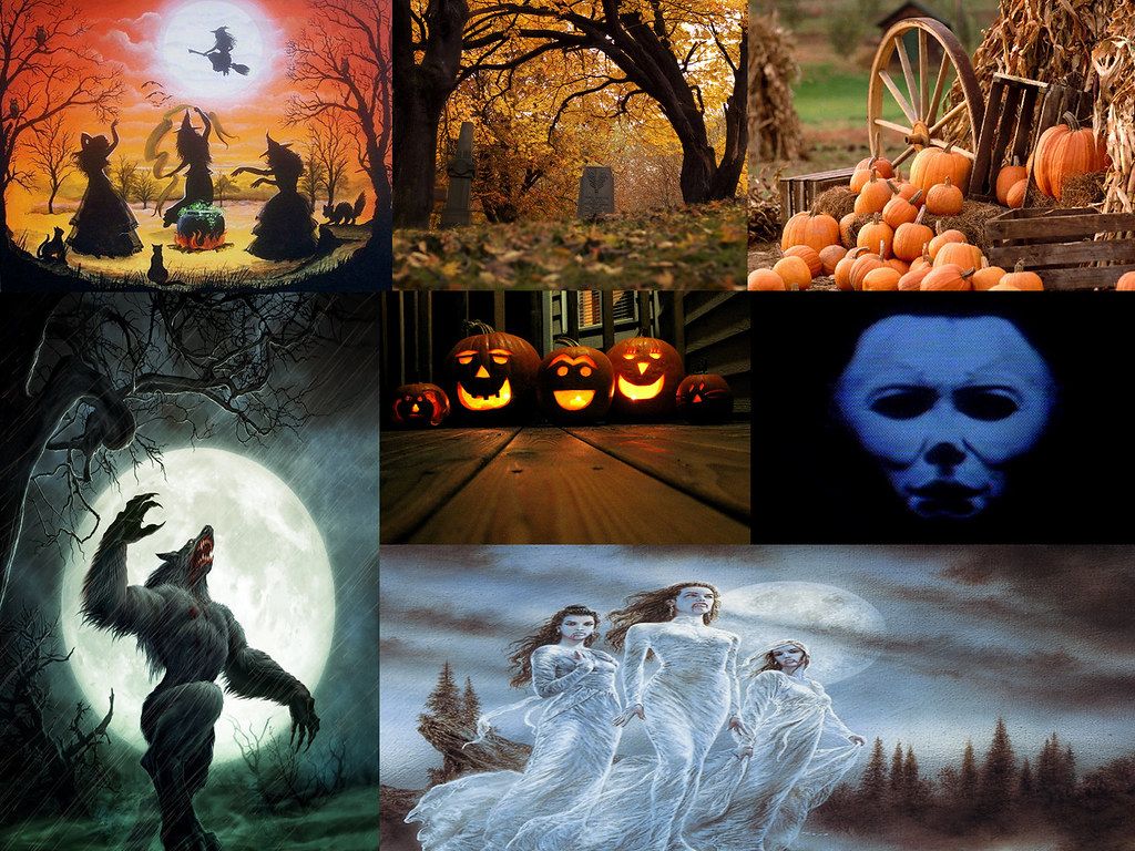 Girl Halloween Autumn Spooky Season Pumpkins Funny Face HD Fall Collage  Wallpapers  HD Wallpapers  ID 90699