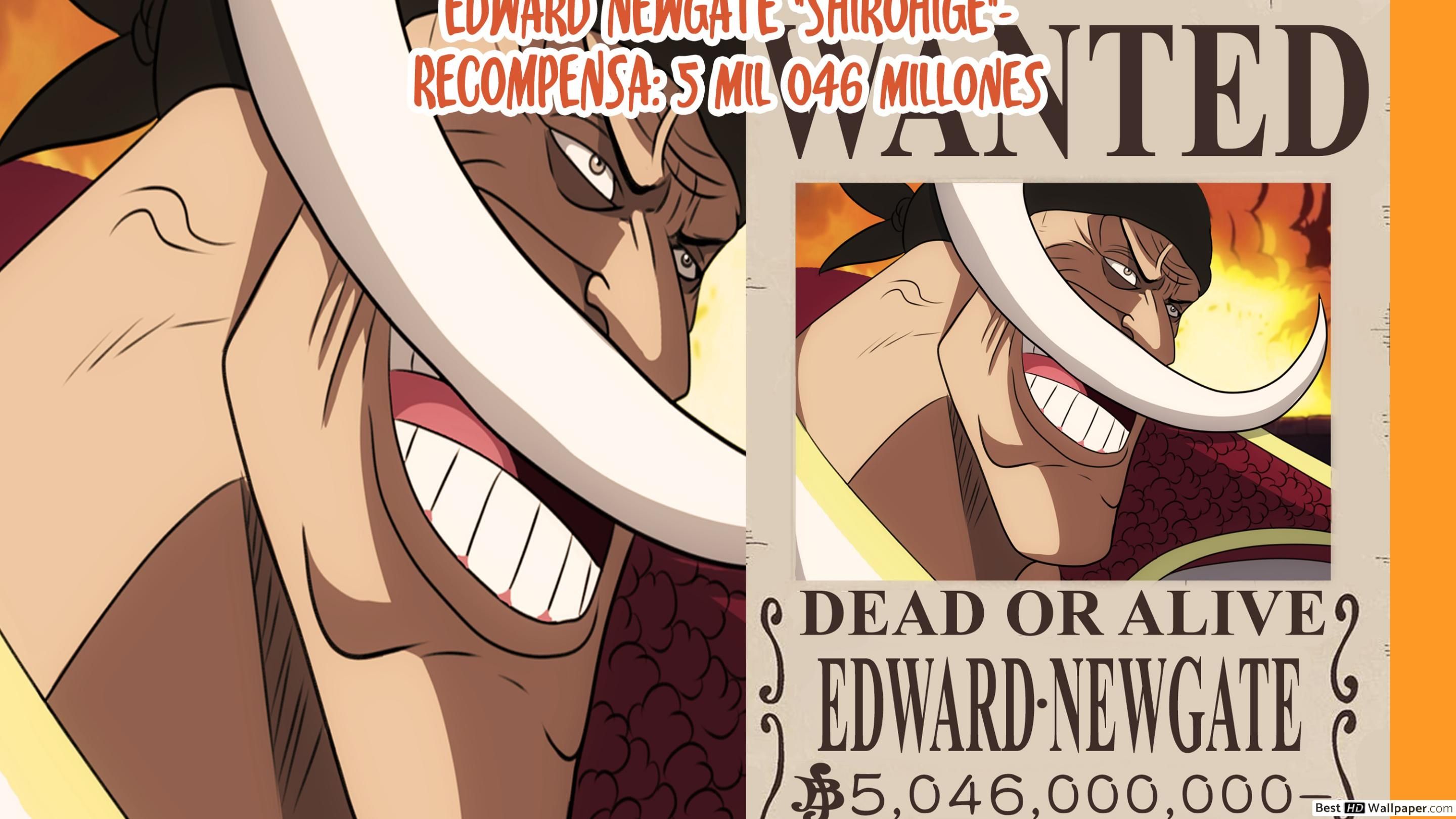 One Piece Newgate Bounty Poster HD wallpaper download