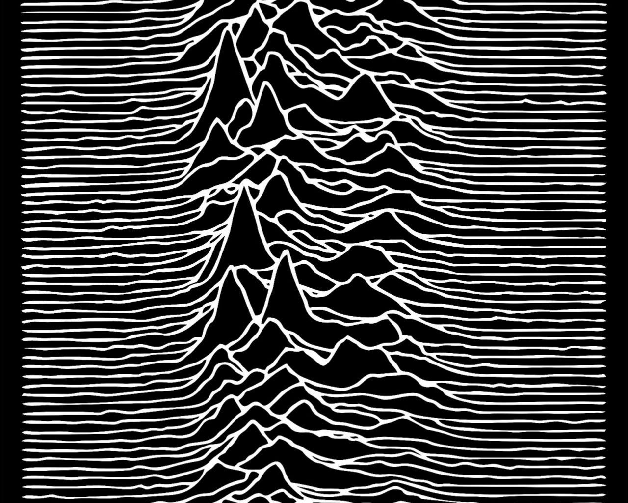 Free download Joy Division Unknown Pleasures Wallpaper 32 [1281x1600] for your Desktop, Mobile & Tablet. Explore Joy Division Wallpaper. HD The Division Wallpaper, Division 2 Wallpaper