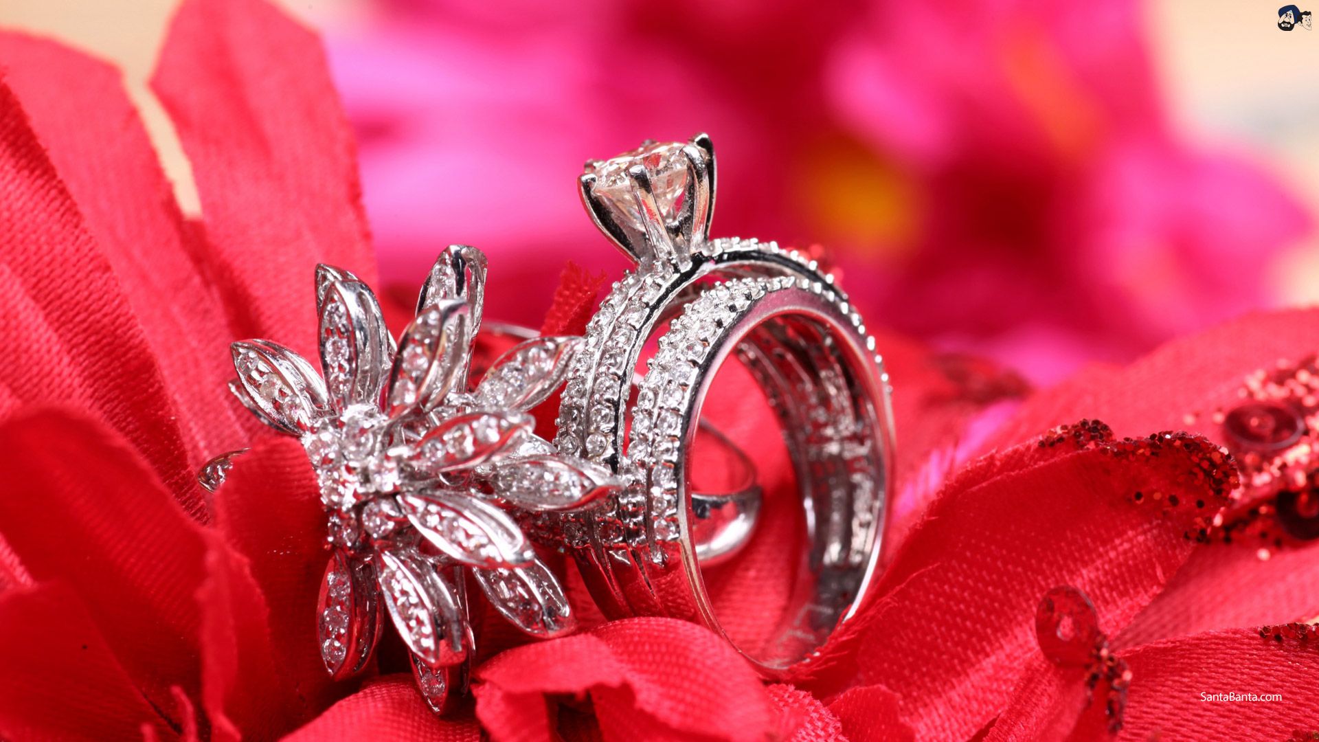Diamond Studded Engagement Rings