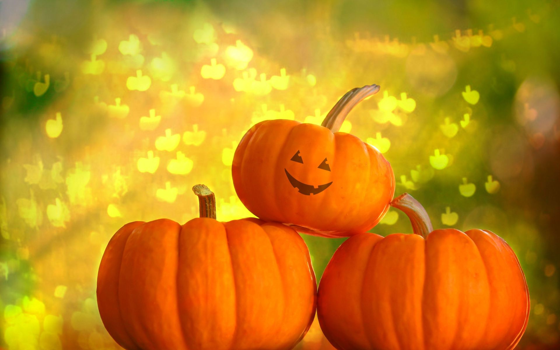 cute halloween pumpkin background