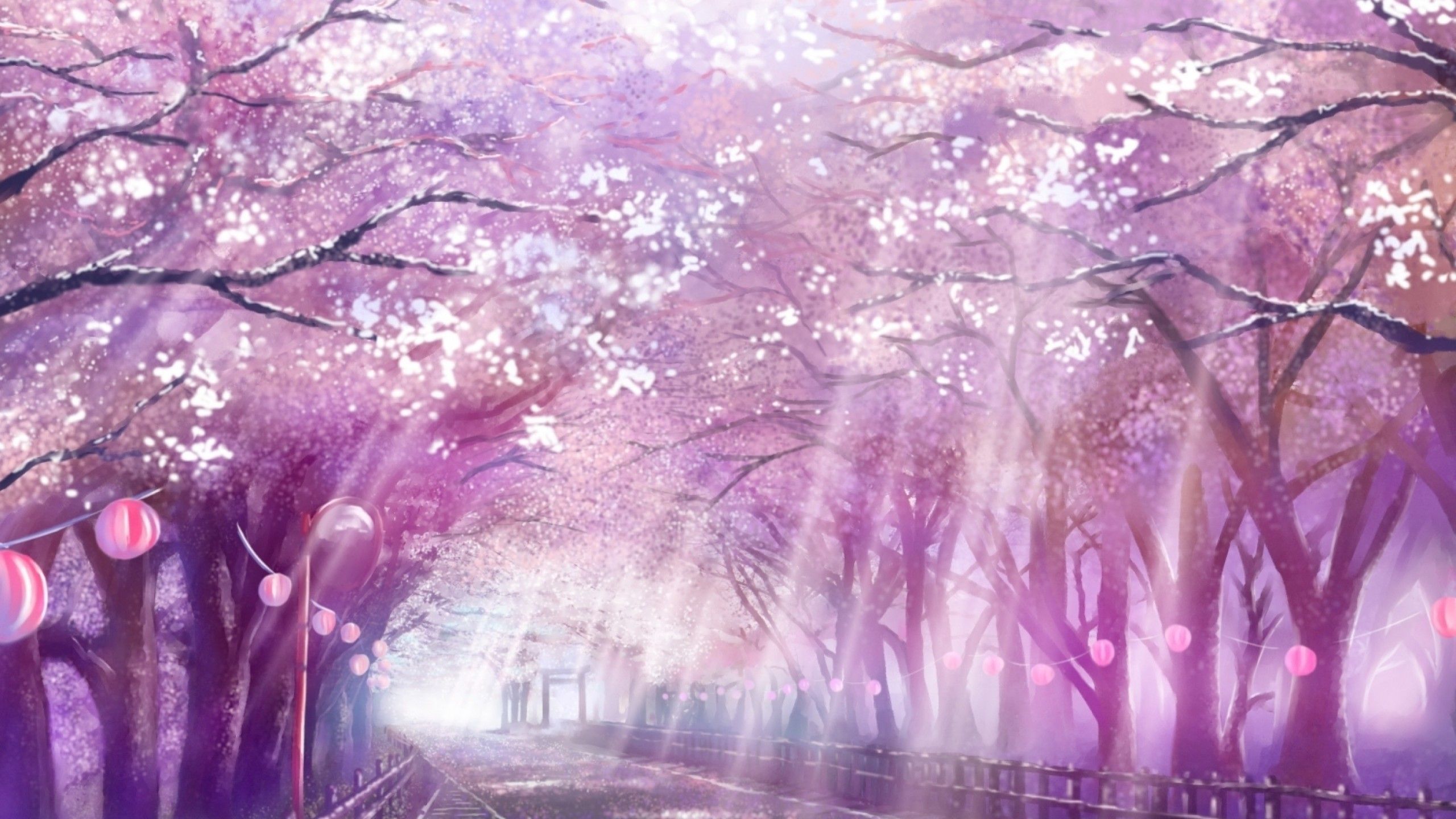 Anime Landscape, Scenic, Sakura Blossom, Cherry, Path, Sunlight. Scenery wallpaper, Anime scenery, Scenery background