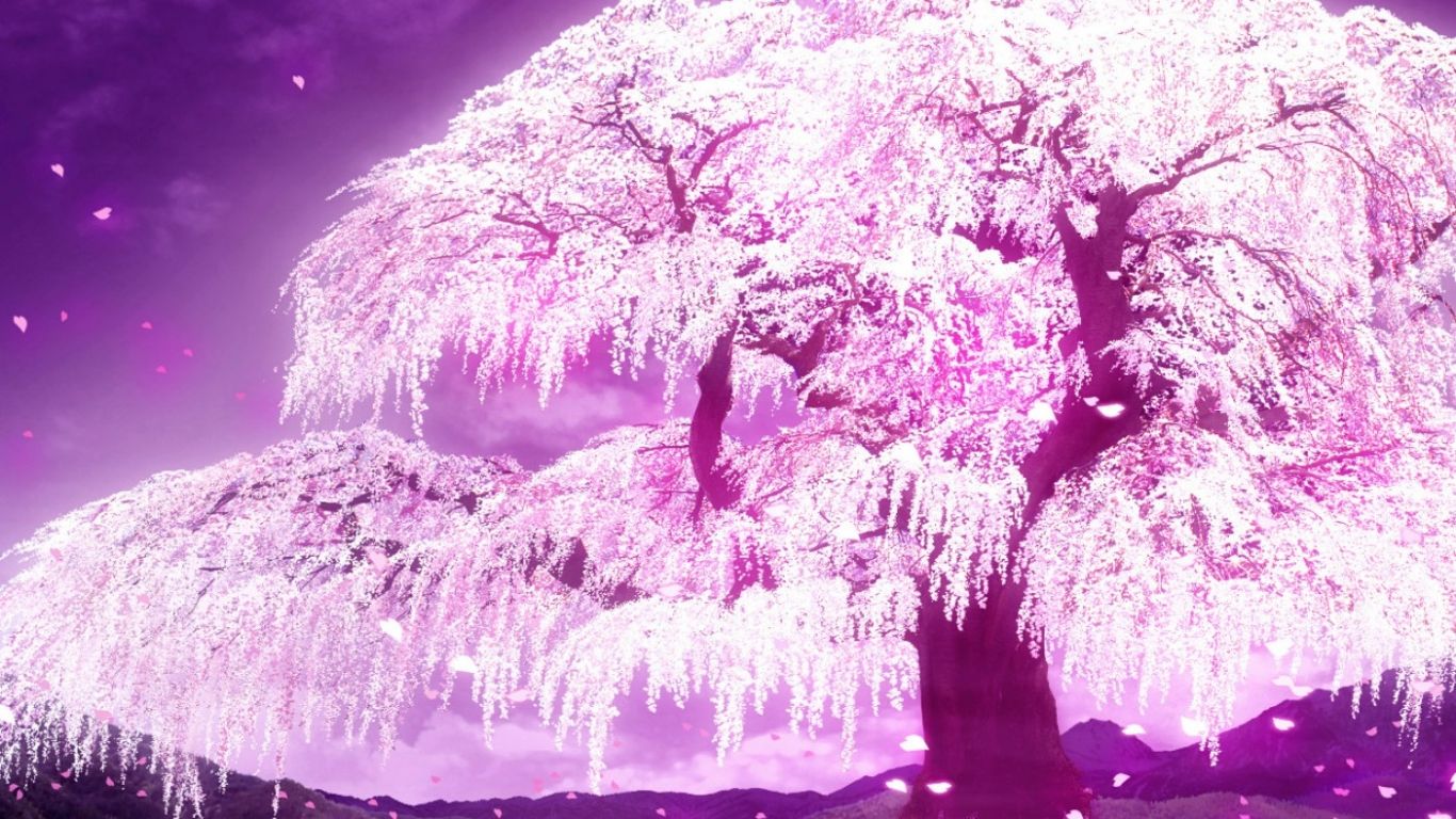 Anime Sakura Trees Wallpapers - Wallpaper Cave