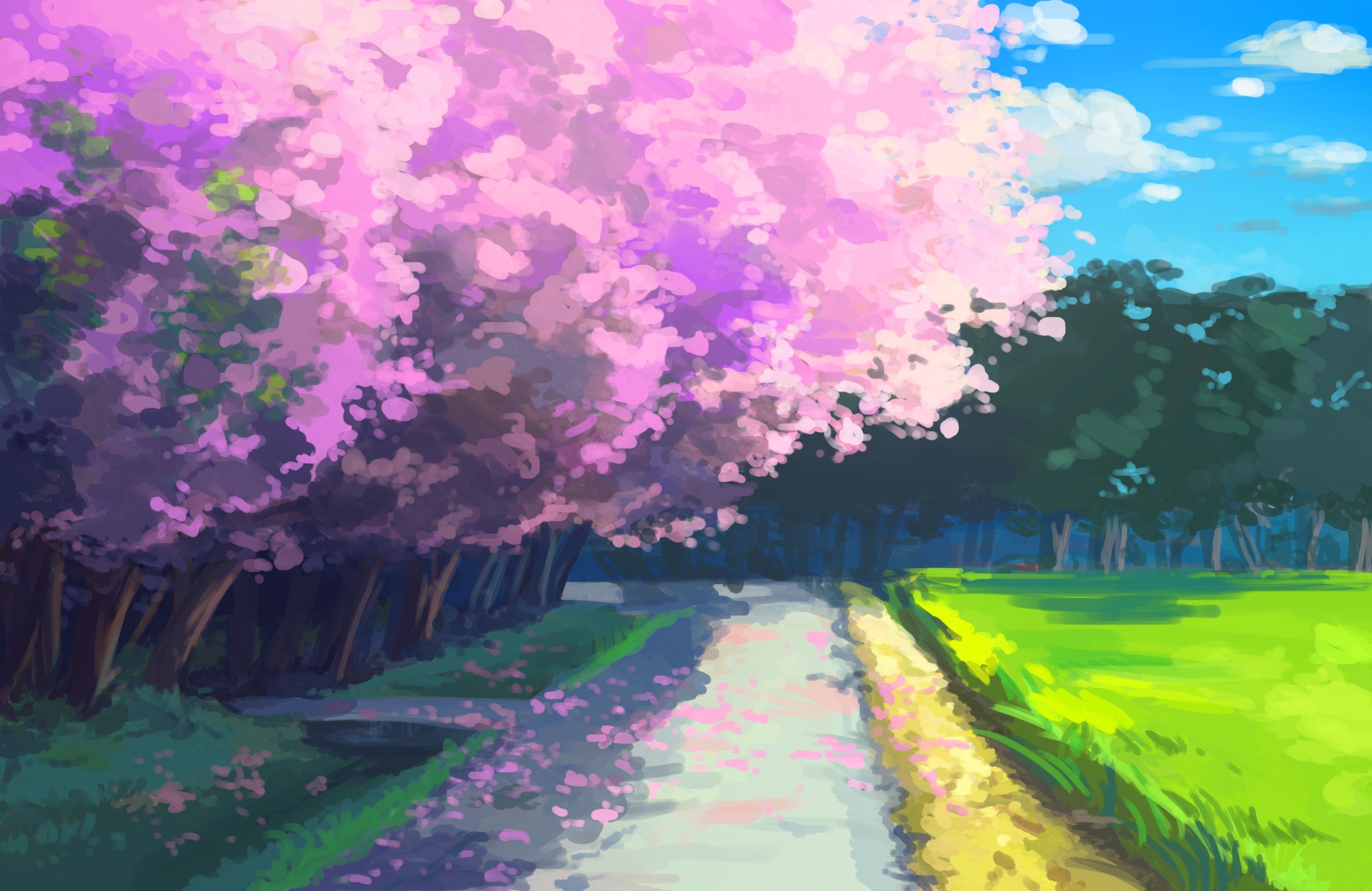 Anime Cherry Blossom Trees Outdoors Plants Wallpaper:3440x2234