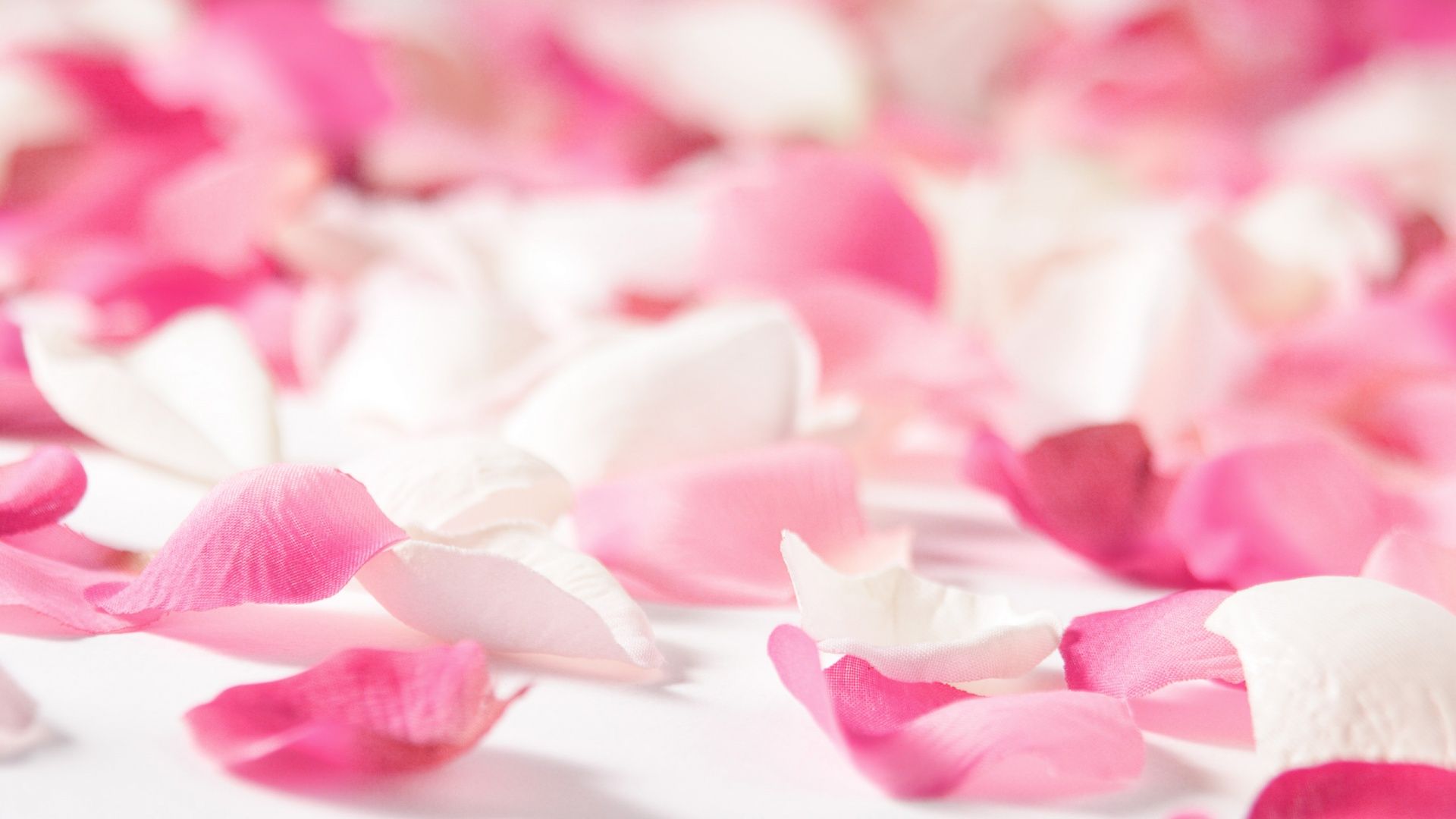 Rose Leaves wallpaperx1080