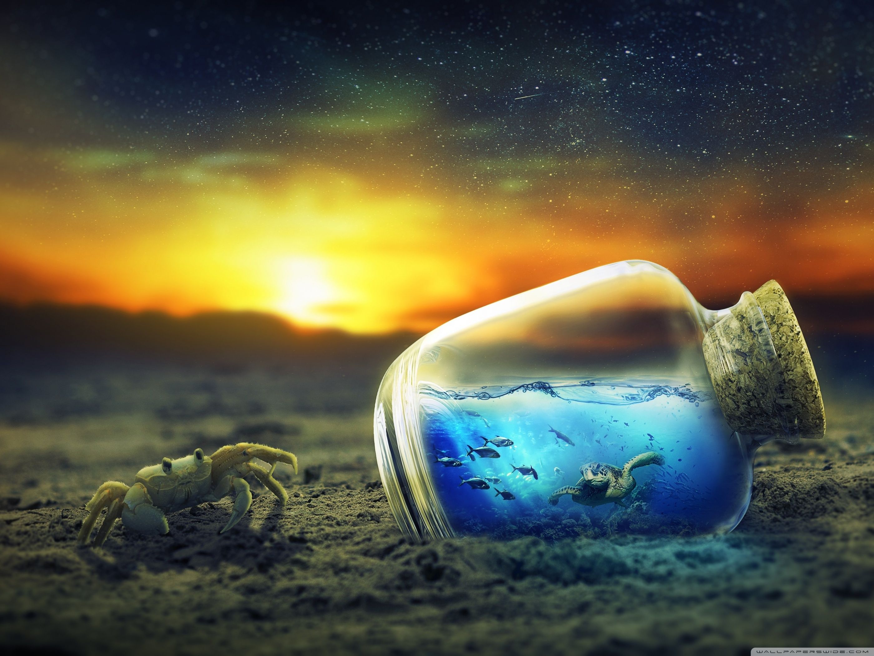 Life in a Bottle Ultra HD Desktop Background Wallpaper for: Widescreen & UltraWide Desktop & Laptop, Multi Display, Dual & Triple Monitor, Tablet