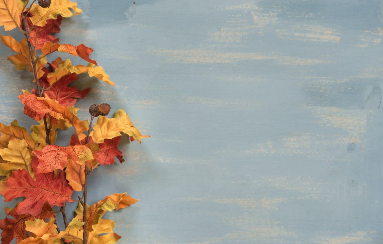 Wallpaper autumn, leaves, background, Board, colorful, wood, background, autumn, leaves, autumn image for desktop, section текстуры