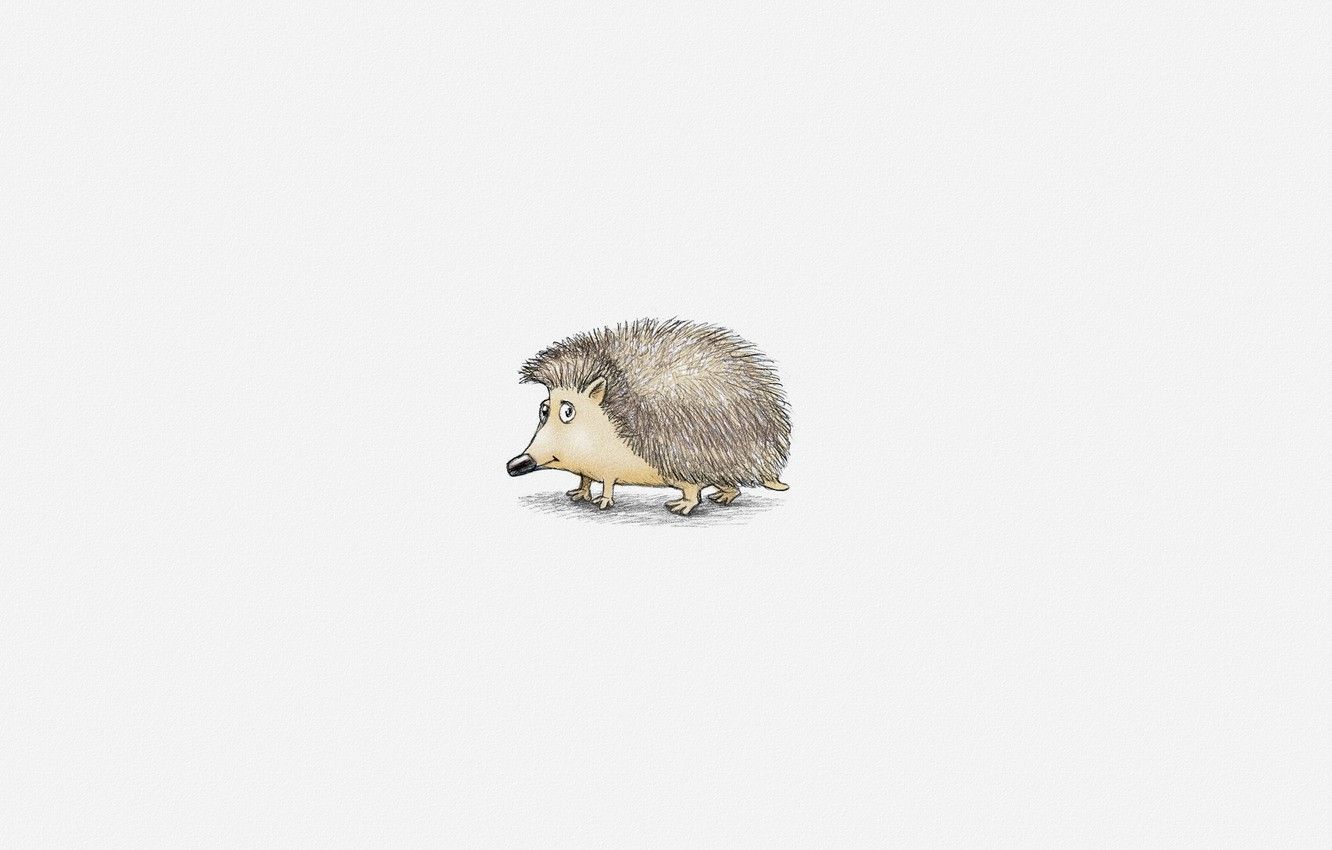 Cute Hedgehog Wallpapers - Wallpaper Cave