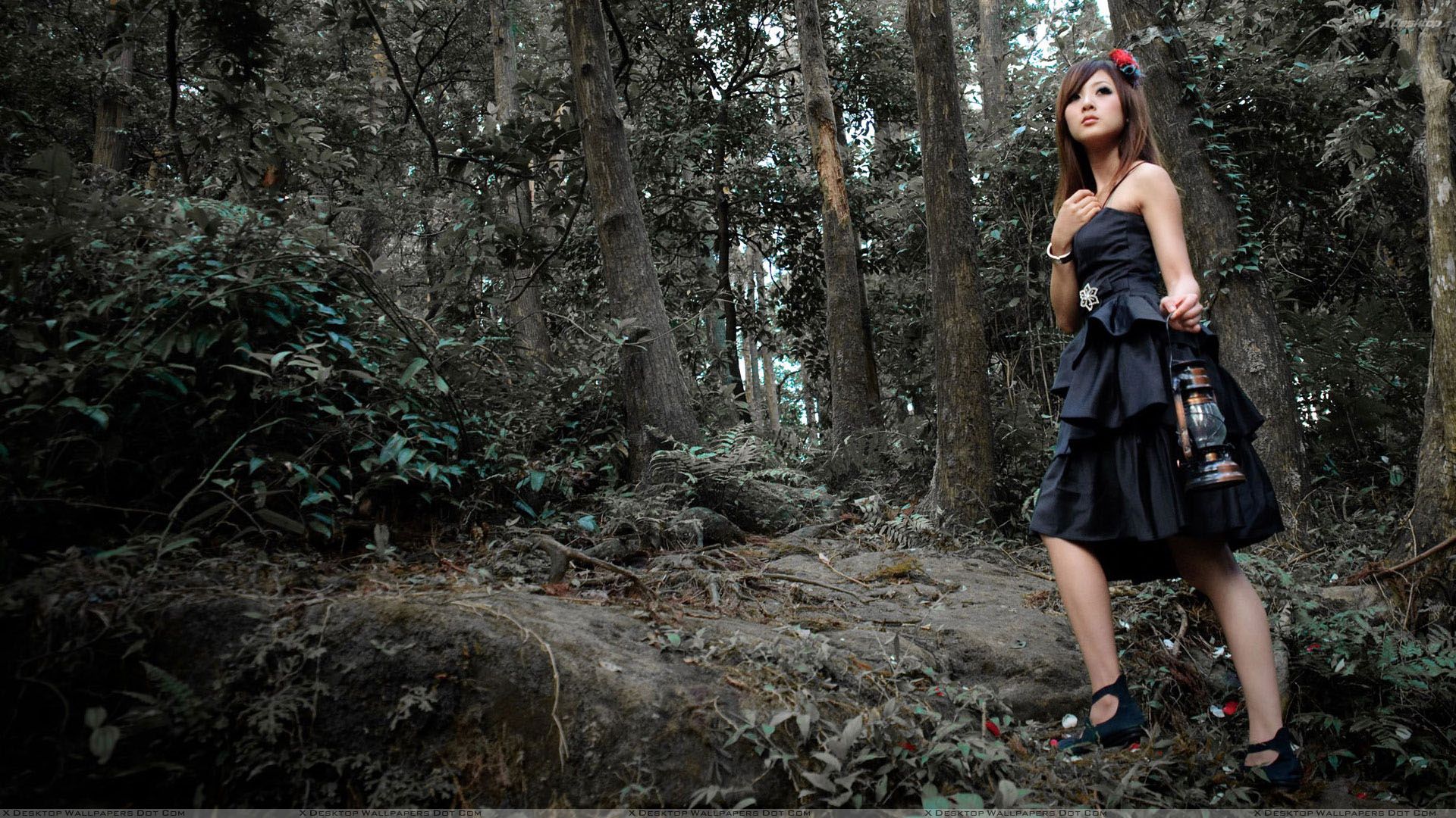 Girl Lonely In Jungle in Black Dress And Lantren in Hand Wallpaper