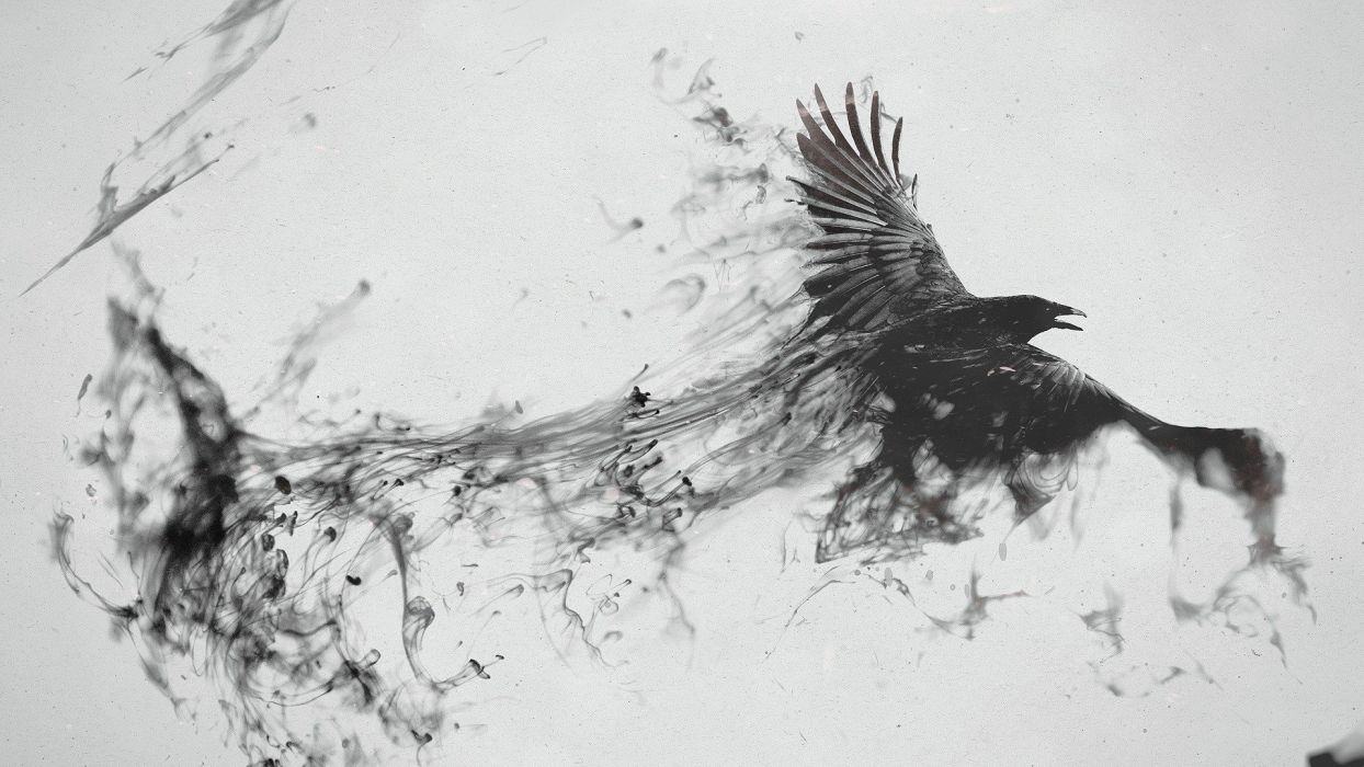 Raven bird flying smoke black white wallpaperx1080