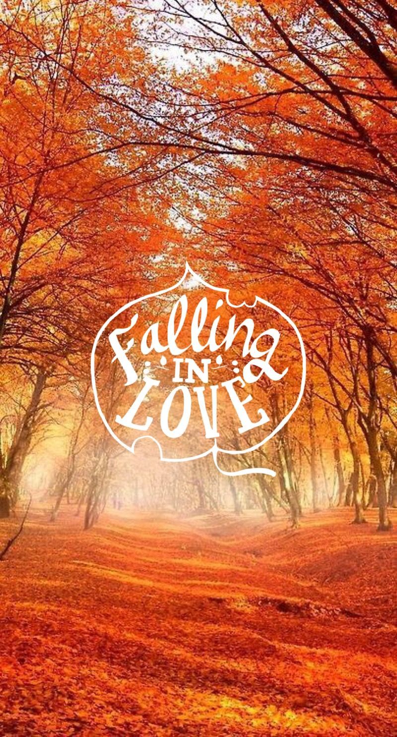 Fall ♚. #iphone #quote #halloween #wallpaper. Fall wallpaper, Fall background wallpaper, iPhone wallpaper fall
