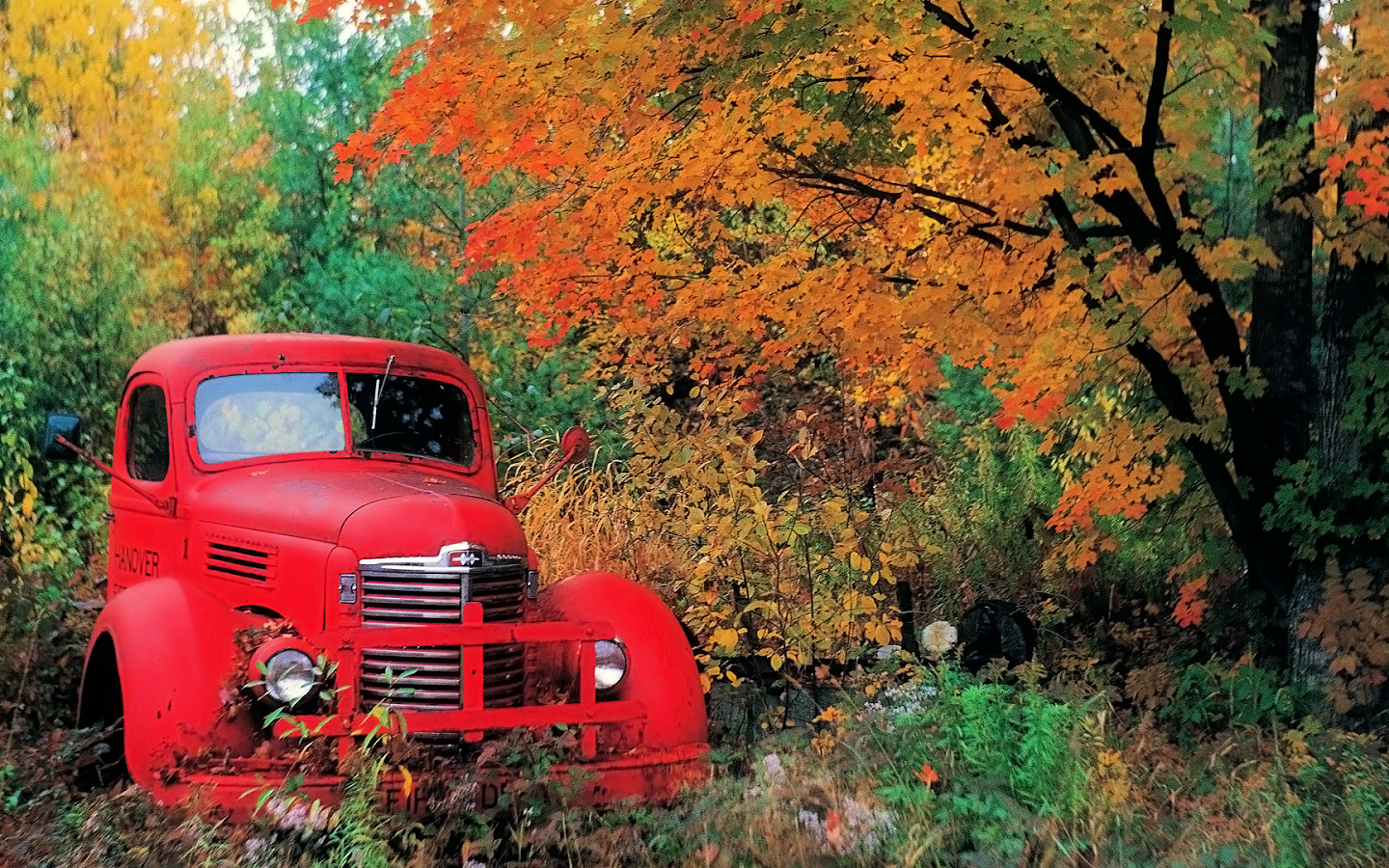 Free download Autumn Old Truck Wallpaper Congress is More Conservative and [1600x900] for your Desktop, Mobile & Tablet. Explore Old Truck Wallpaper. Old Ford Truck Wallpaper, Truck Wallpaper Desktop