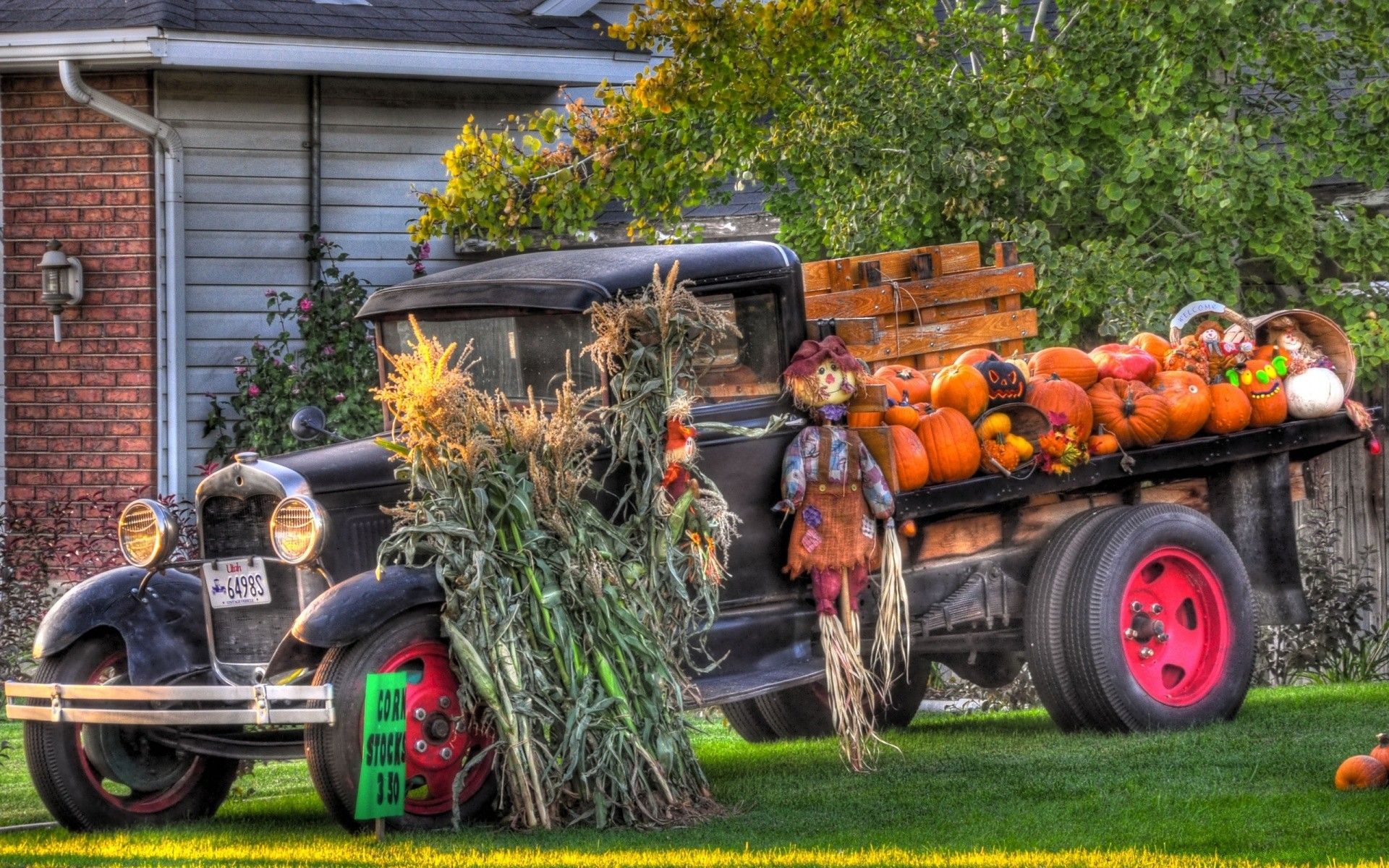 The Funky Pumpkin Truck