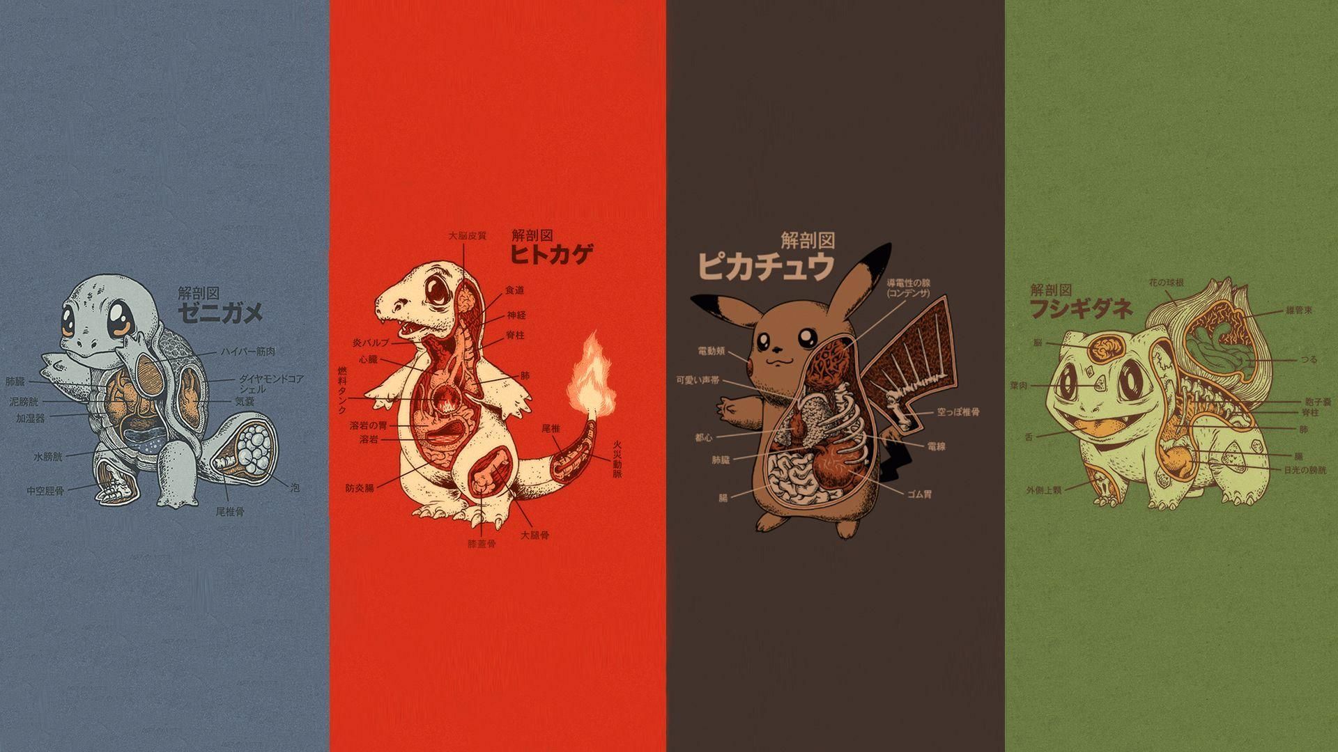 Pokemon starters. Let like/ follow/ repin it if u love