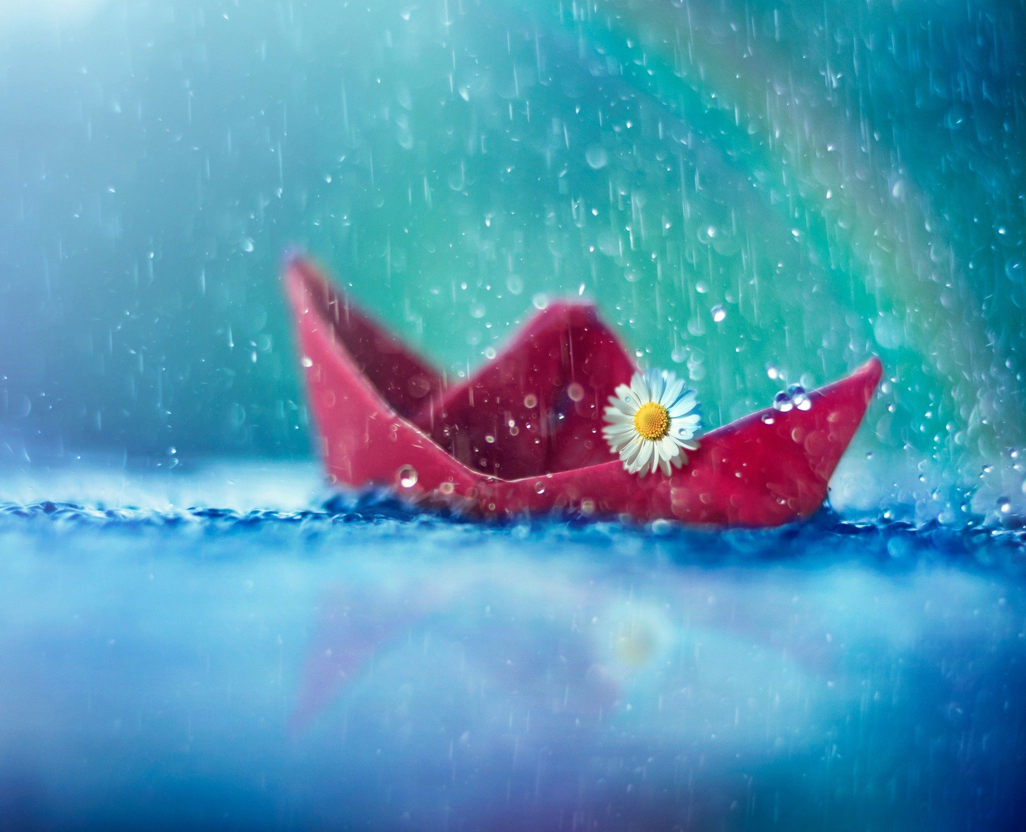 Wallpaper download water, drops, daisy, rain, boat resolution 2048x1662