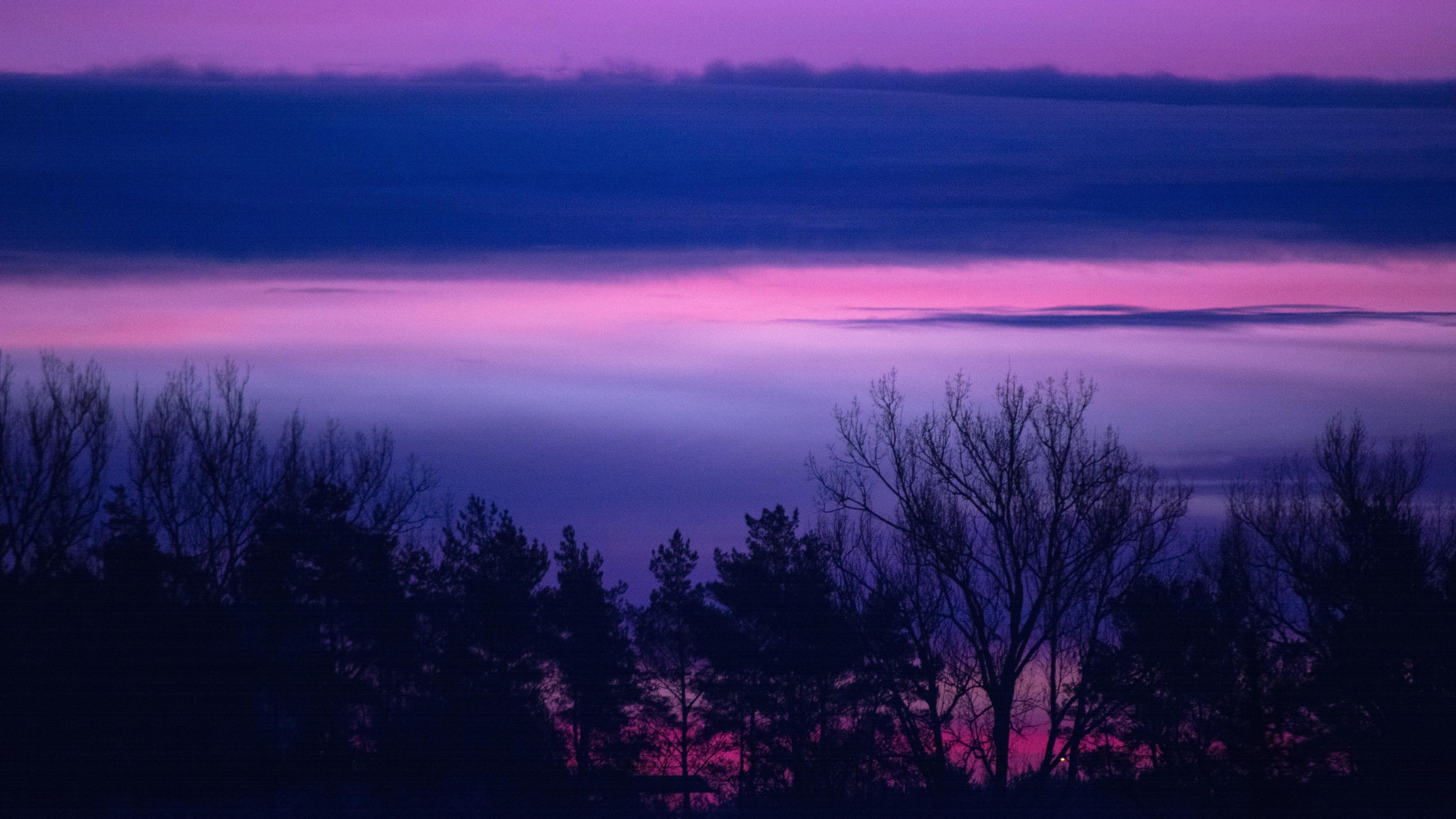 Clouds Forest Landscape Lilac Purple Serene Sunrise Sunset Trees 5k 5k HD 4k Wallpaper, Image, Background, Photo and Picture