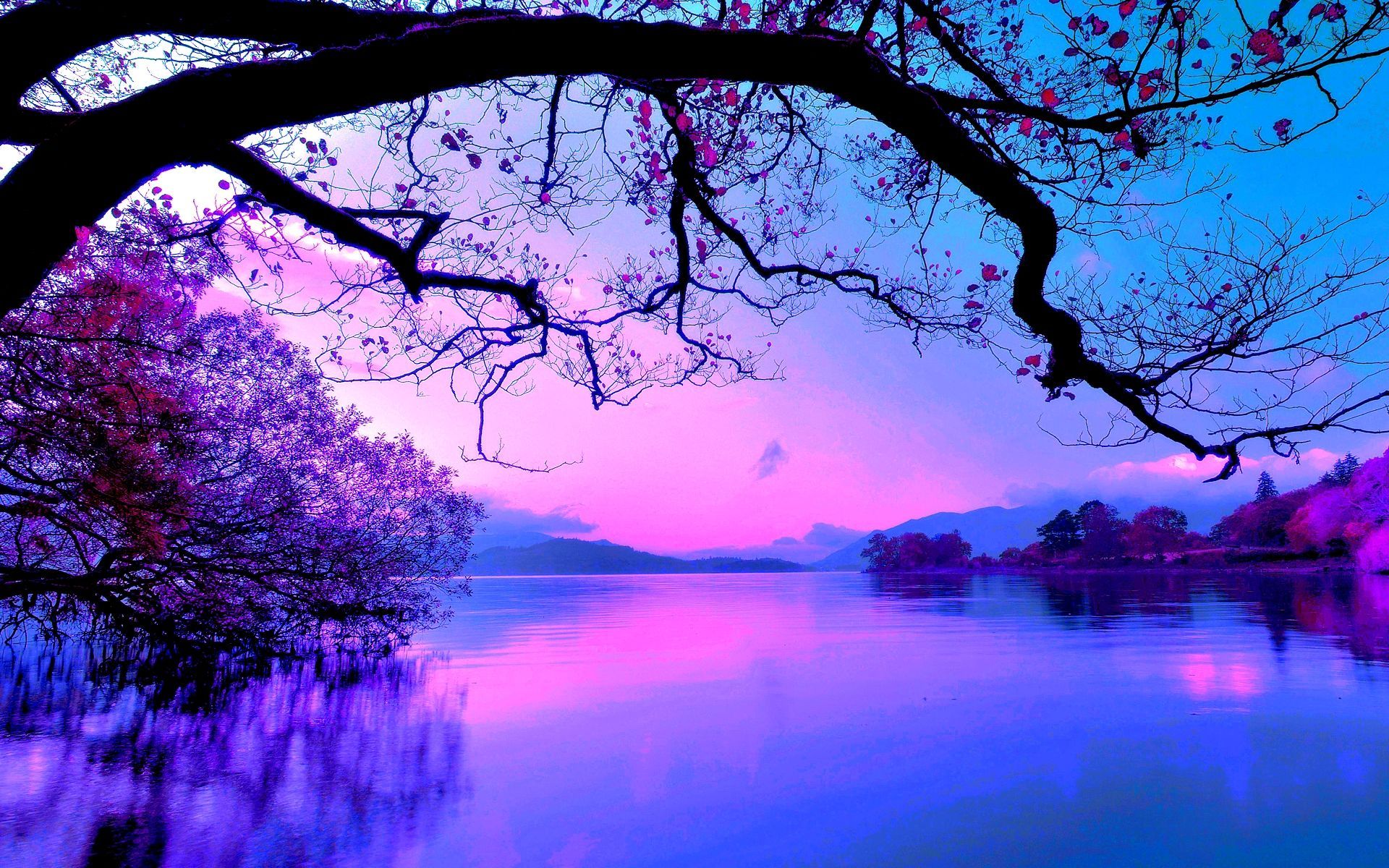 purples and pinks and blues. Beautiful photo of nature, Beautiful nature, Sunset wallpaper