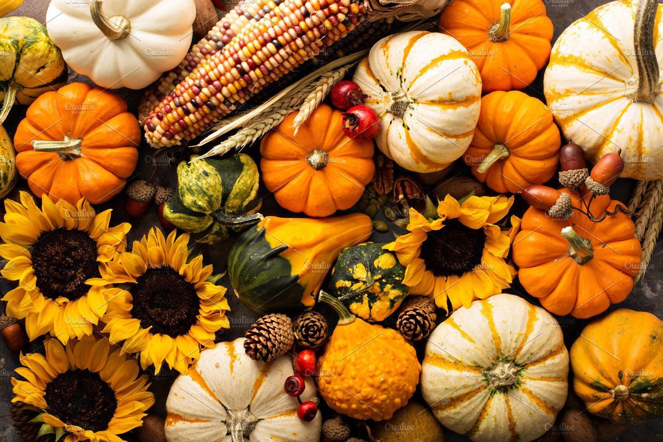 Fall background with pumpkins. Fall background, Sunflowers background, Fall cover photo