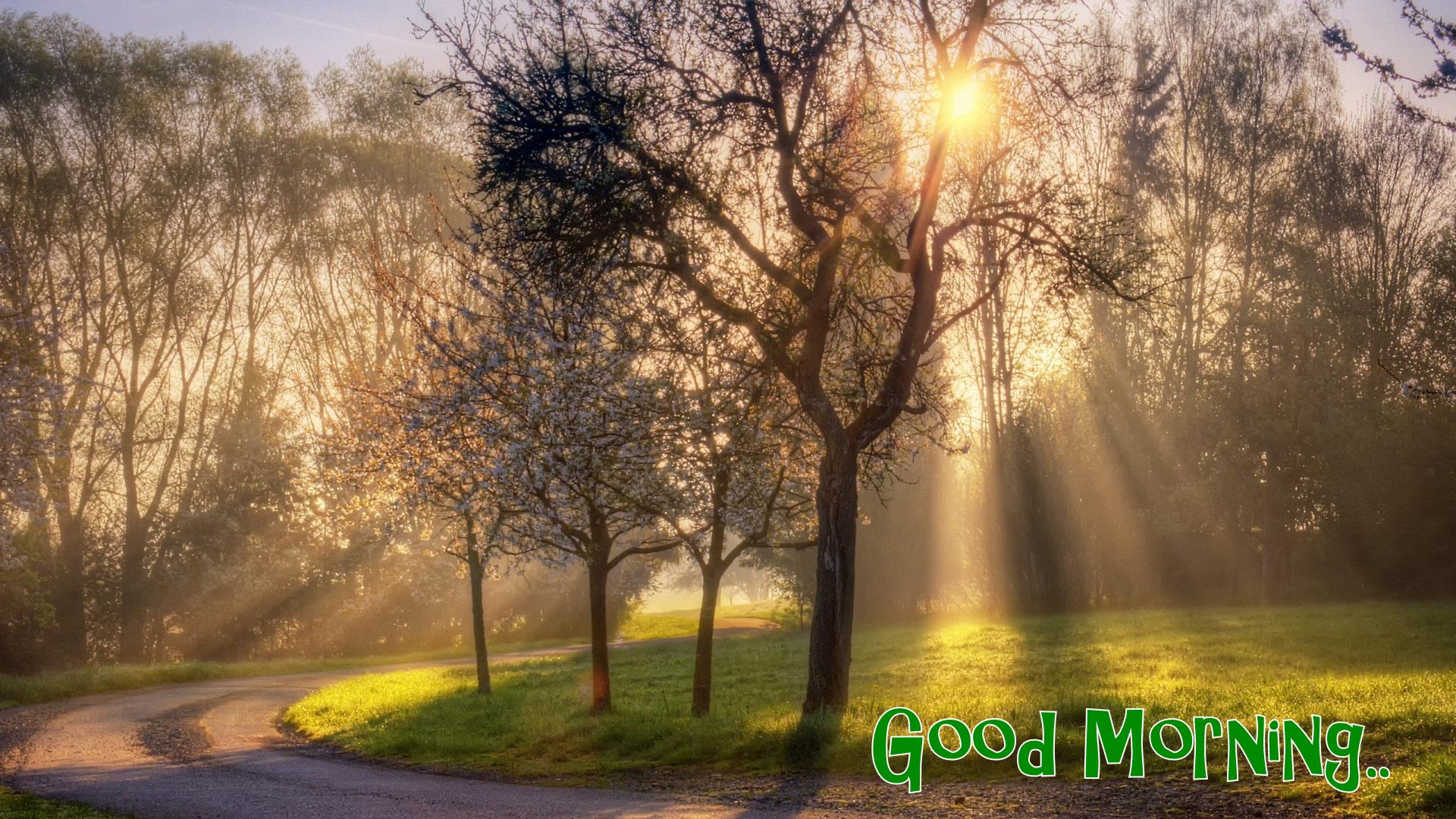 live wallpaper free download: Beautiful Nature Good Morning Wallpaper