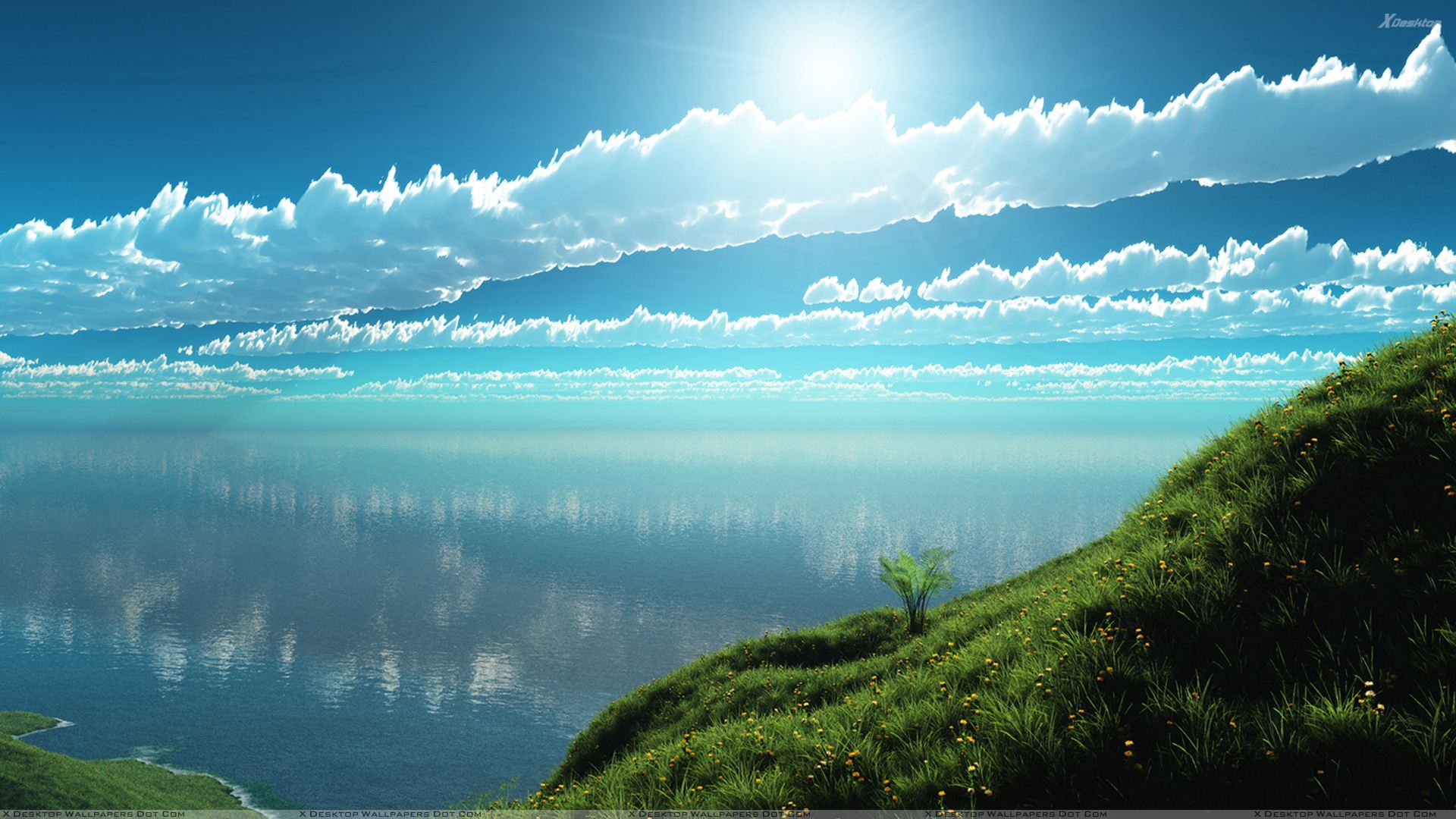 live wallpaper free download: Beautiful Morning Scene Near Sea Wallpaper